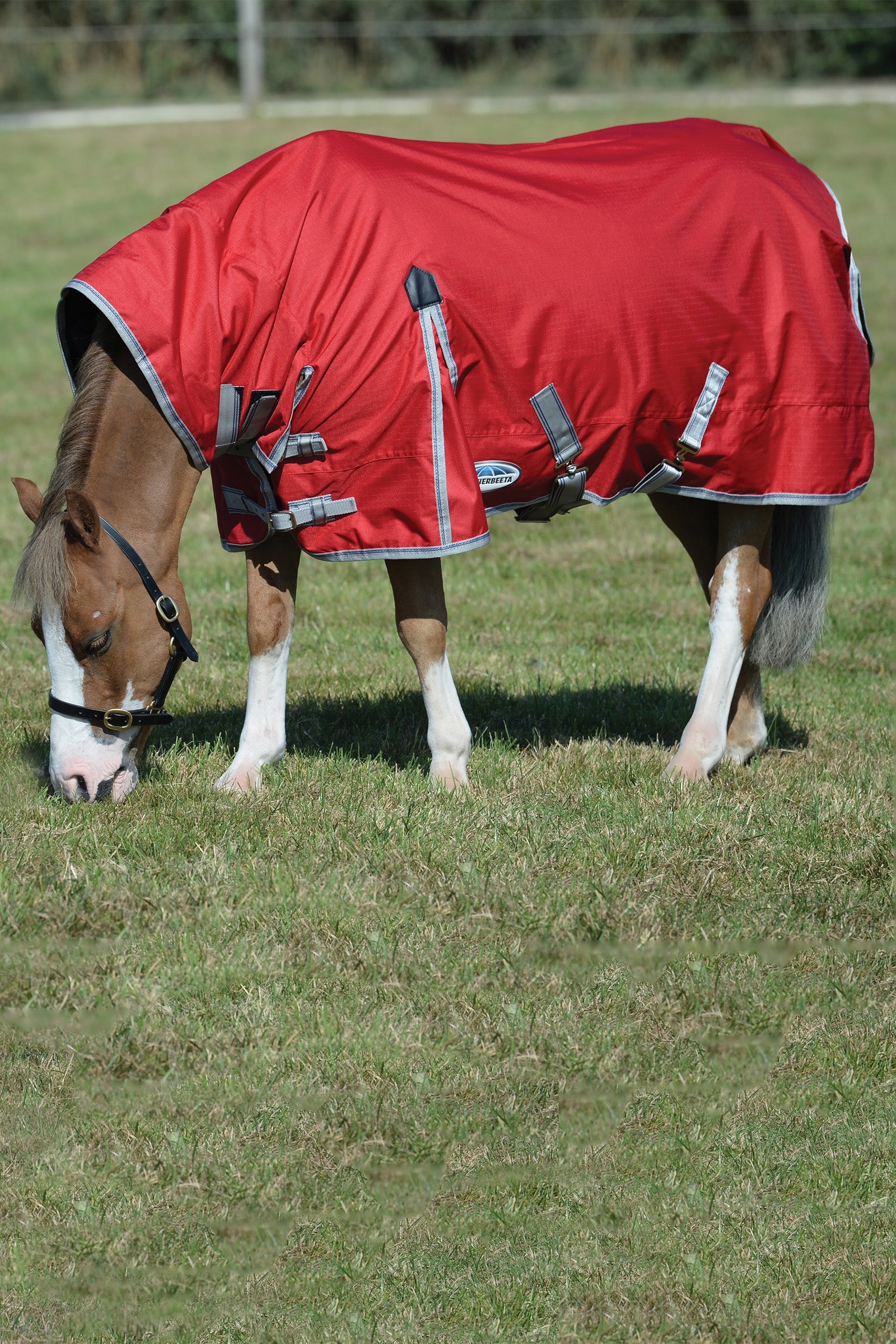 Weatherbeeta Comfitec Classic Combo Neck Lite Plus Horse Rugs