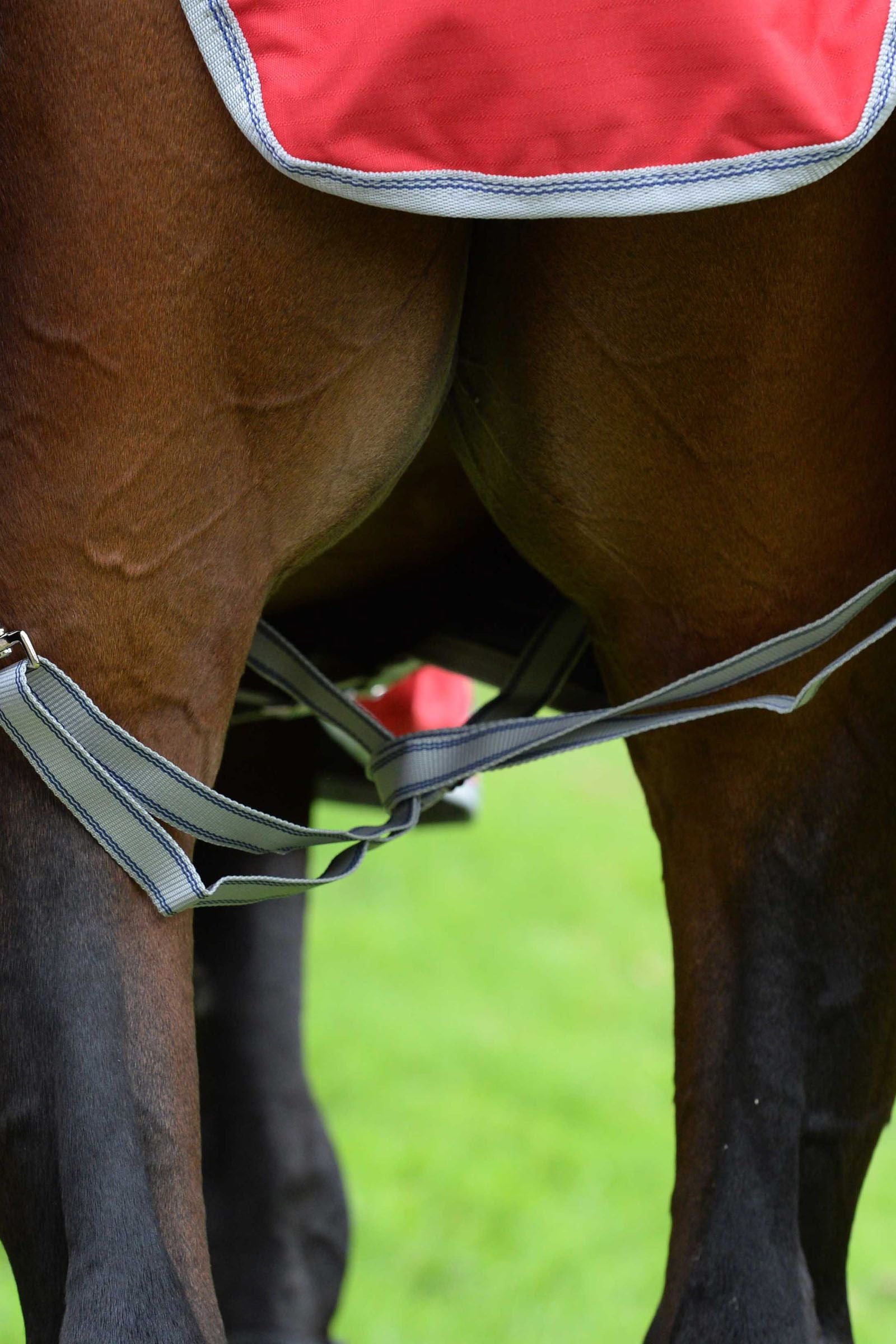 Weatherbeeta Comfitec Classic Combo Neck Lite Plus Horse Rugs