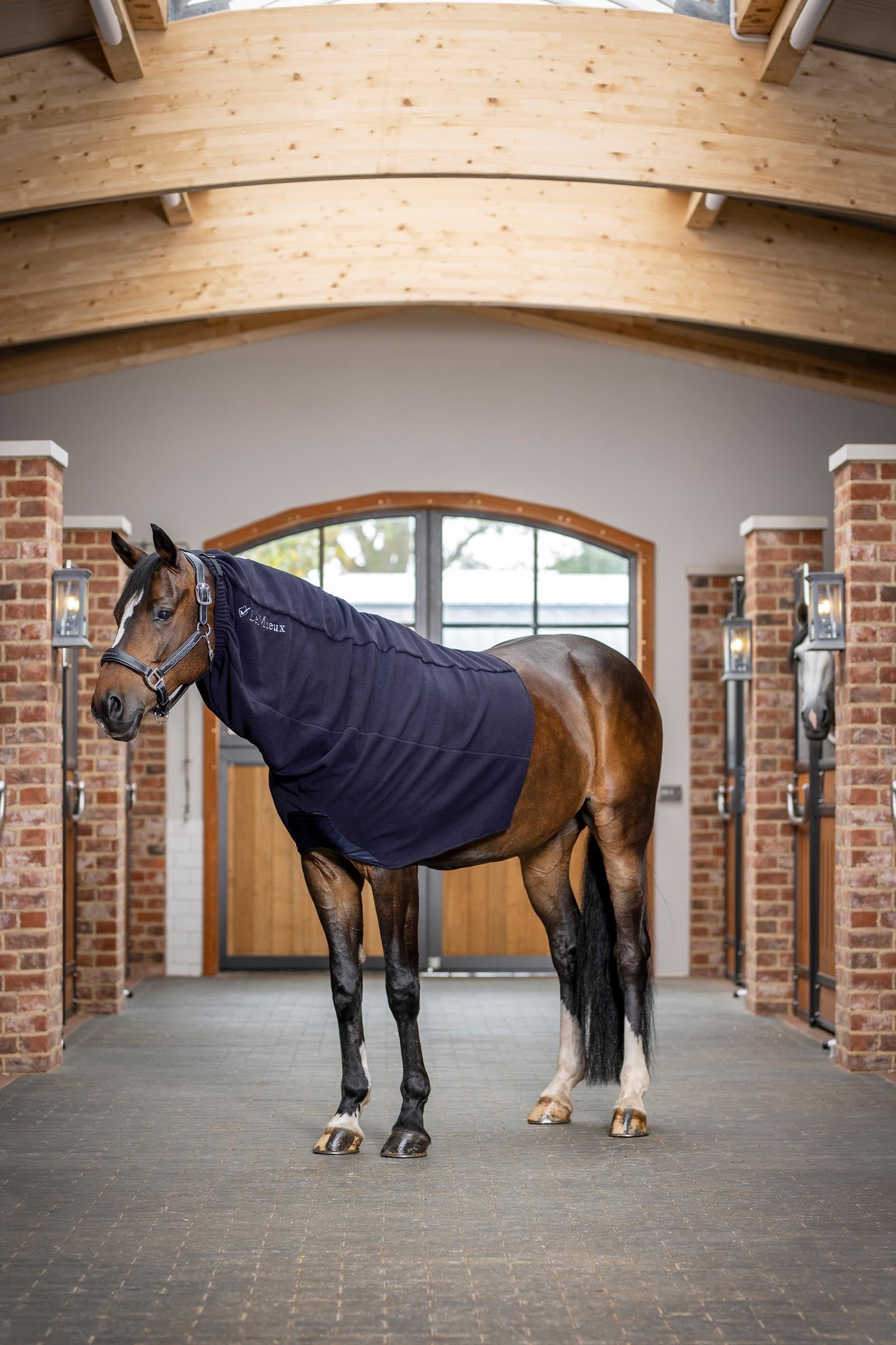 LeMieux Arika Fleece Hood Horse Rugs