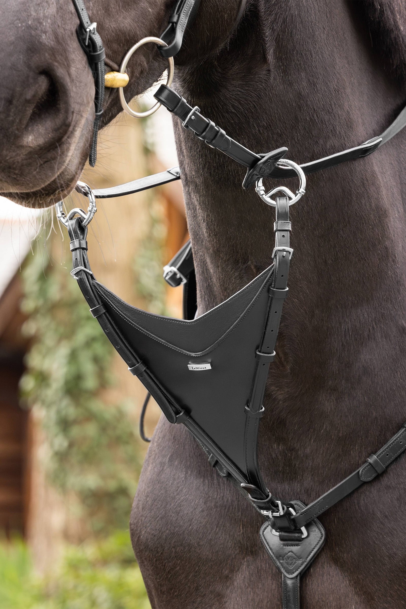 LeMieux Bib Martingale Attachment Bridles & Reins