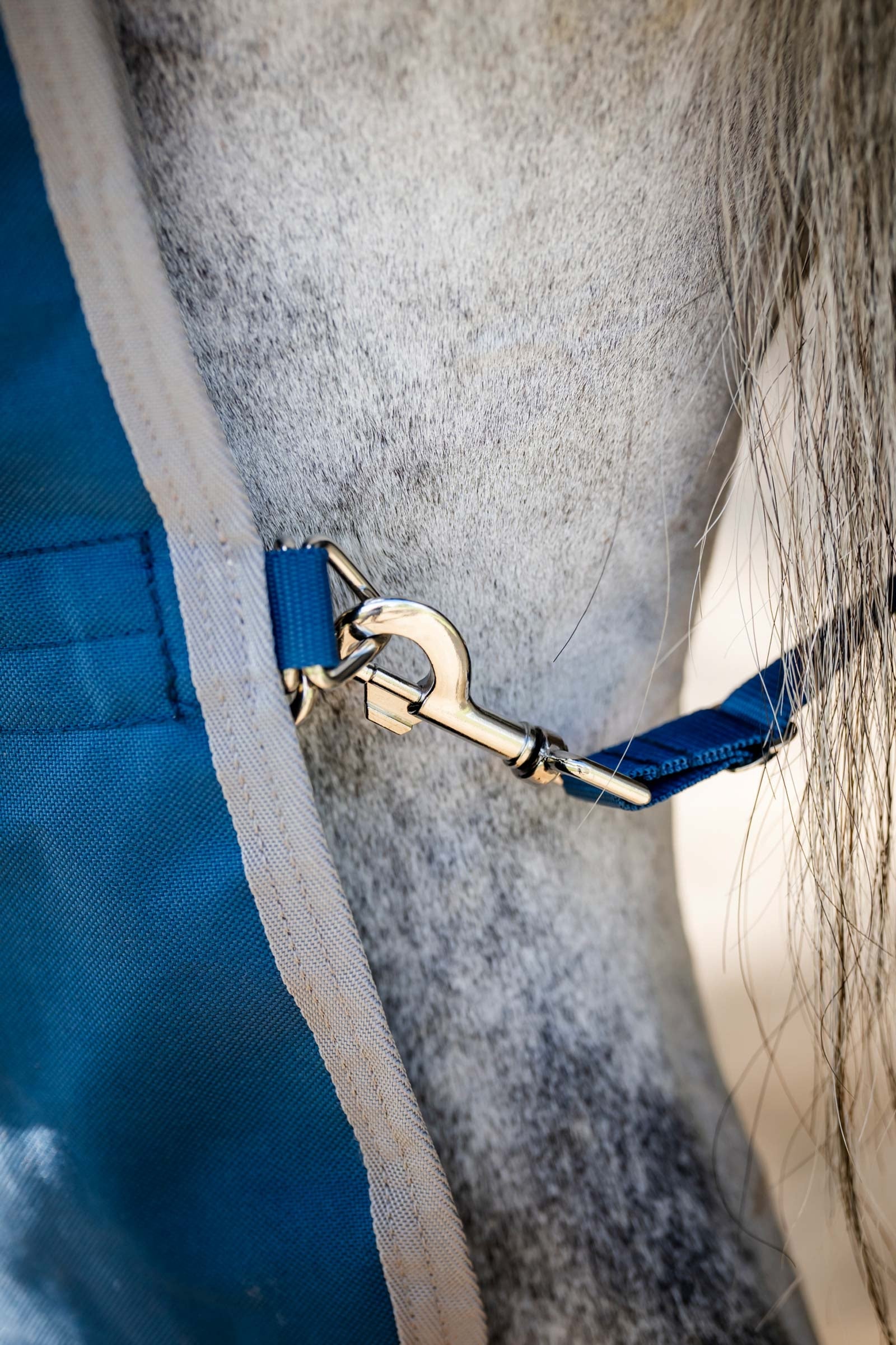 Horseware Ionic Therapy Turnout Rug, 100g Horse Rugs