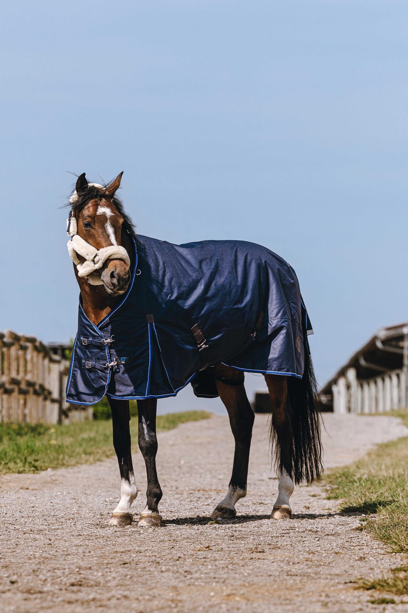 EQUITHÈME Classic 1200D High Neck Rug, 0 g Horse Rugs