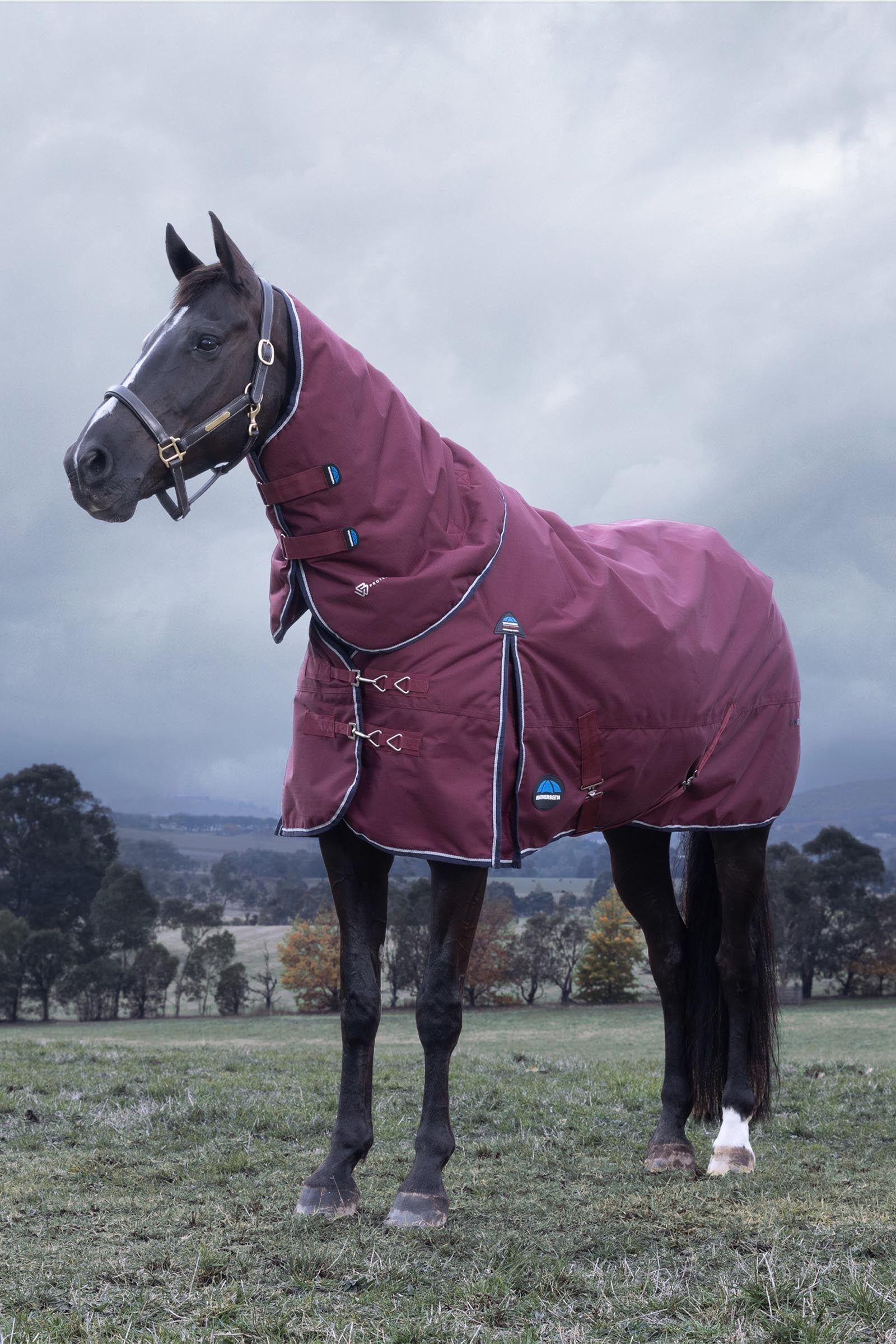 Weatherbeeta Comfitec Essential Turnout Rug Detach-A-Neck 220g Horse Rugs