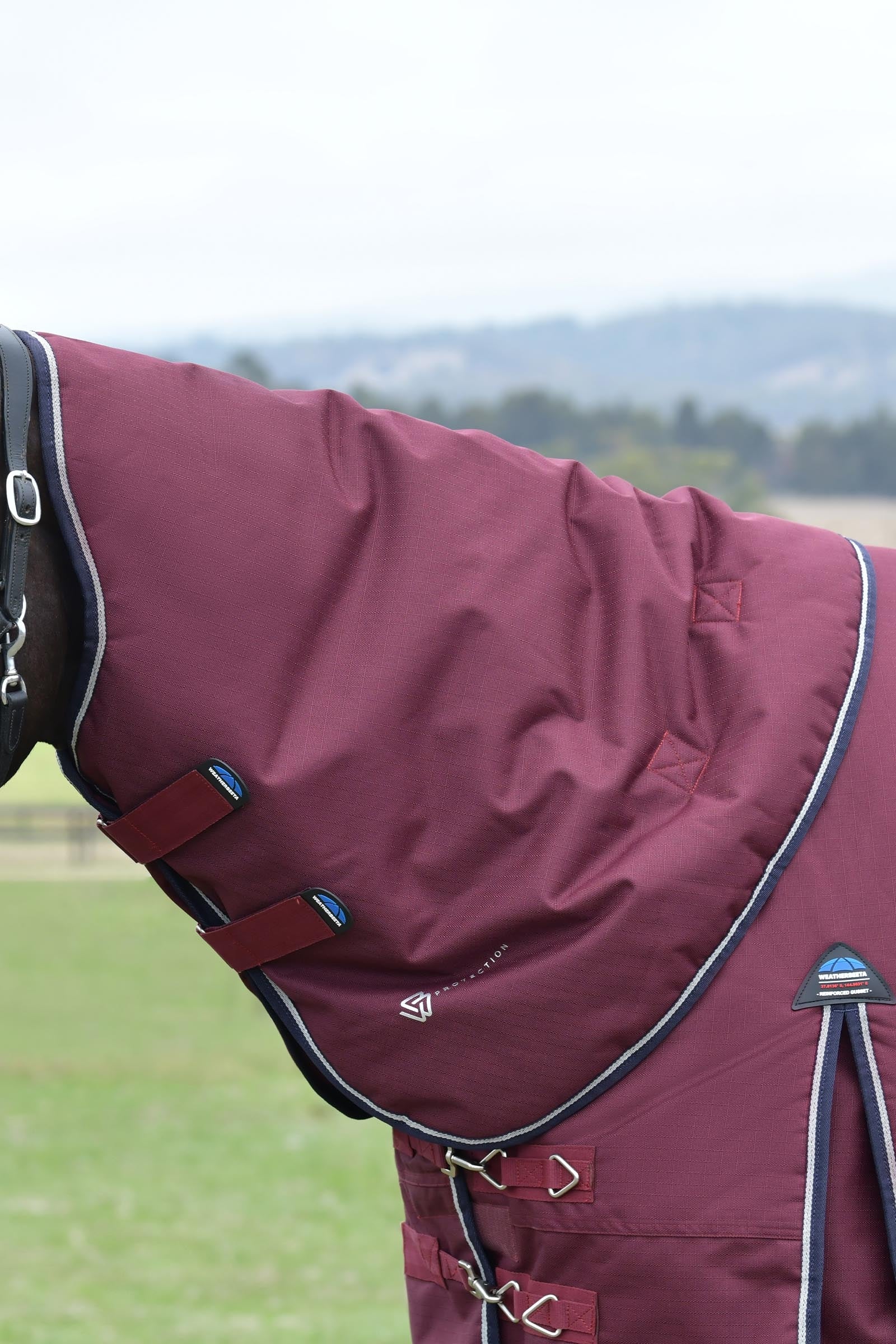 Weatherbeeta Comfitec Essential Turnout Rug Detach-A-Neck 220g Horse Rugs