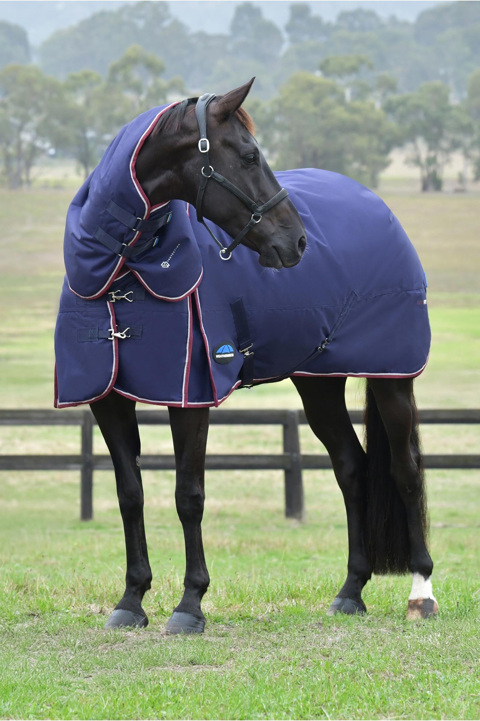 Weatherbeeta Comfitec Essential Turnout Rug Detach-A-Neck 220g Horse Rugs