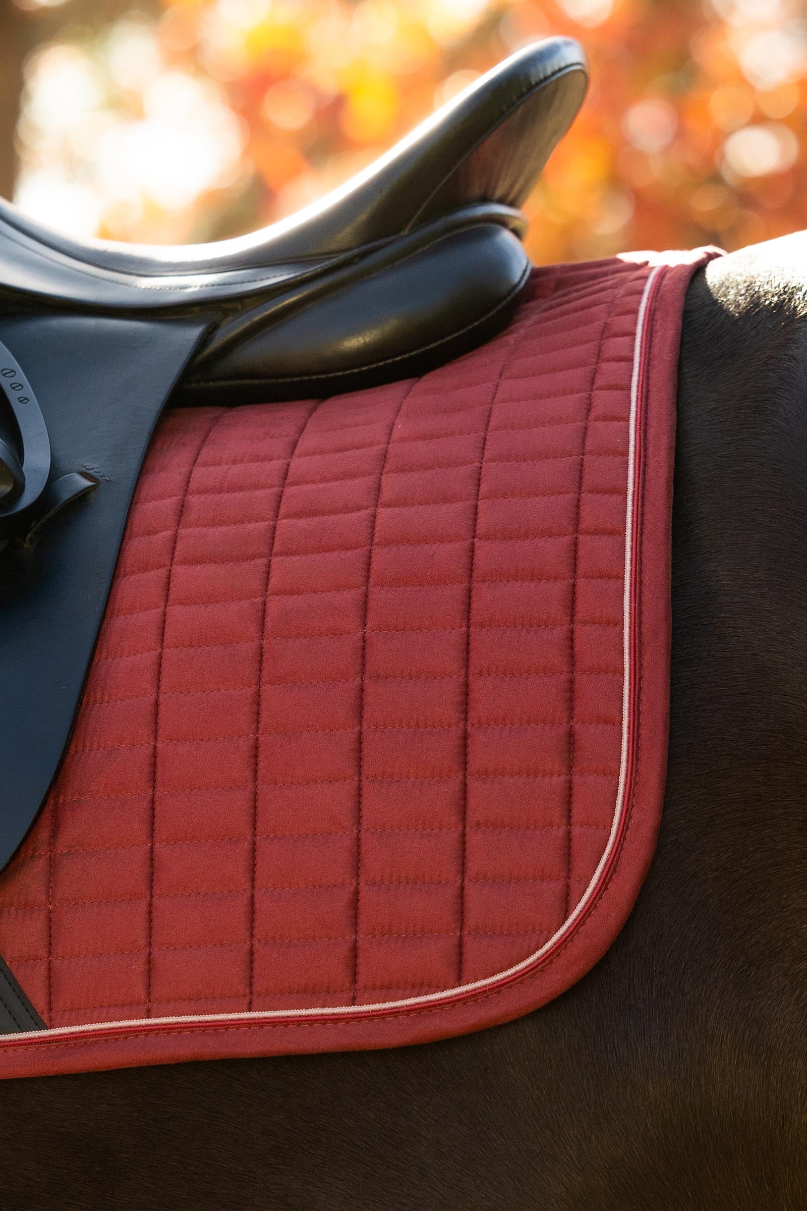 LeMieux Suede Square Dressage Saddle Pad Saddle Pads