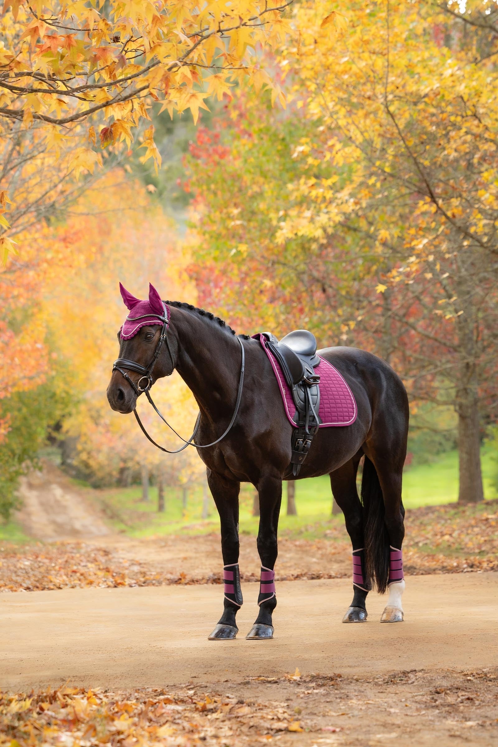 LeMieux Suede Square Dressage Saddle Pad Saddle Pads