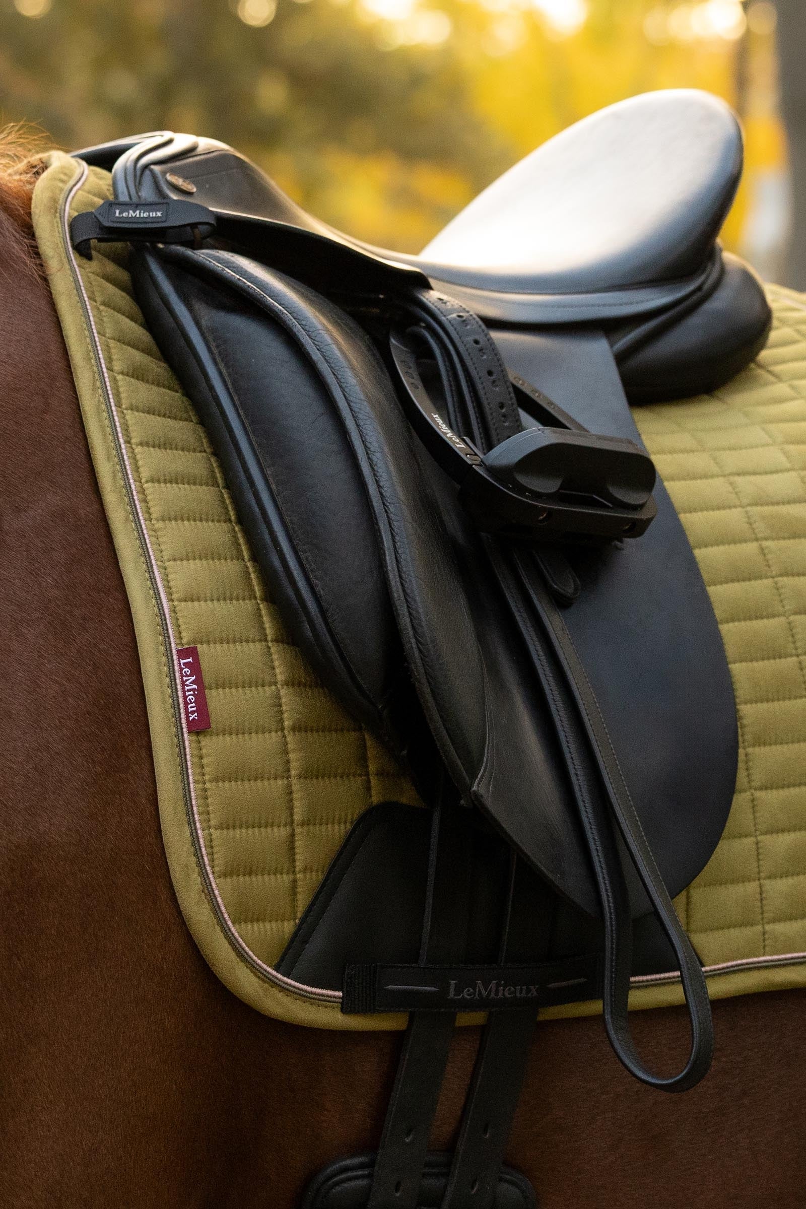 LeMieux Suede Square Dressage Saddle Pad Saddle Pads