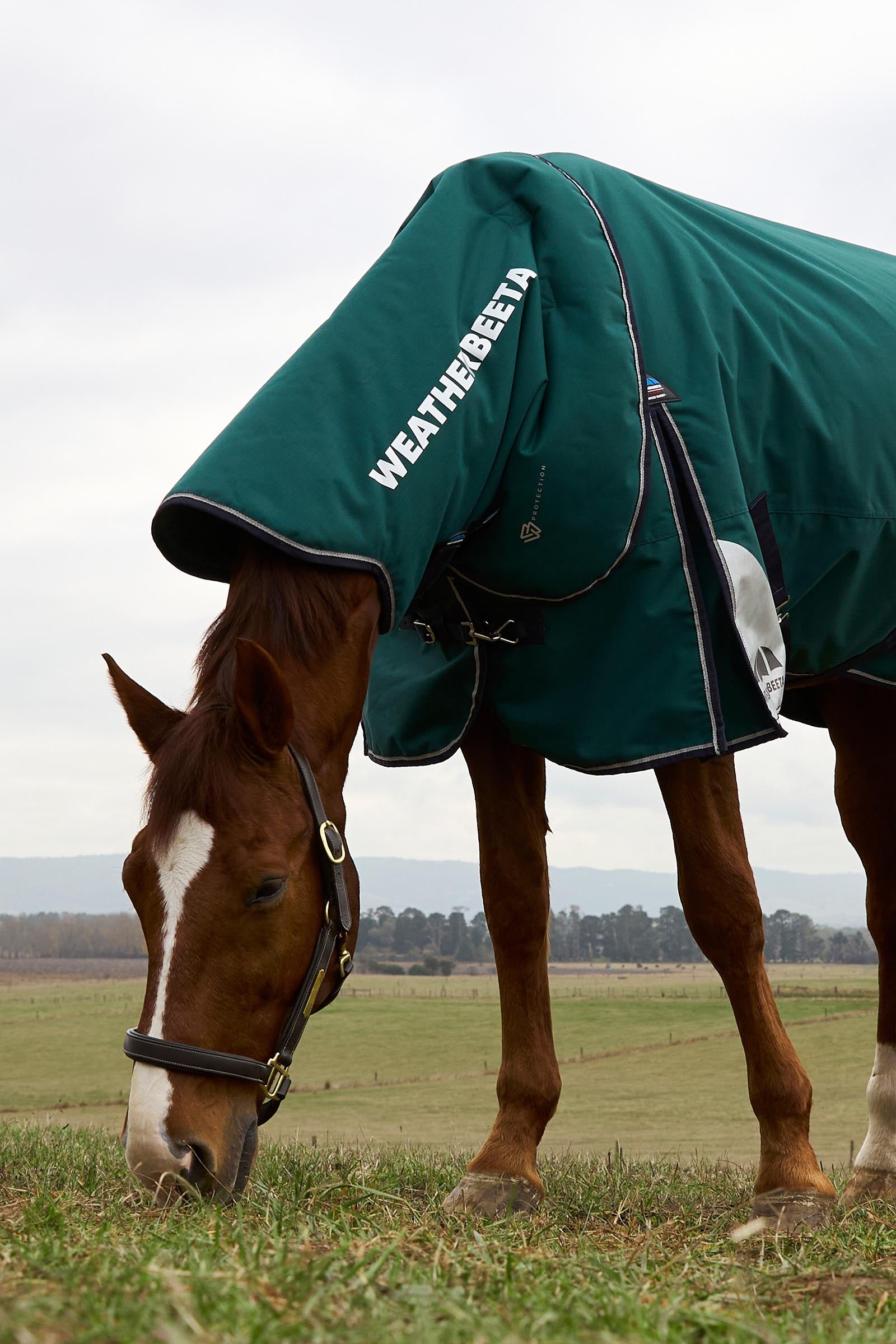 Weatherbeeta Comfitec Plus Dynamic Turnout Detach-a-Neck, 0 g Horse Rugs