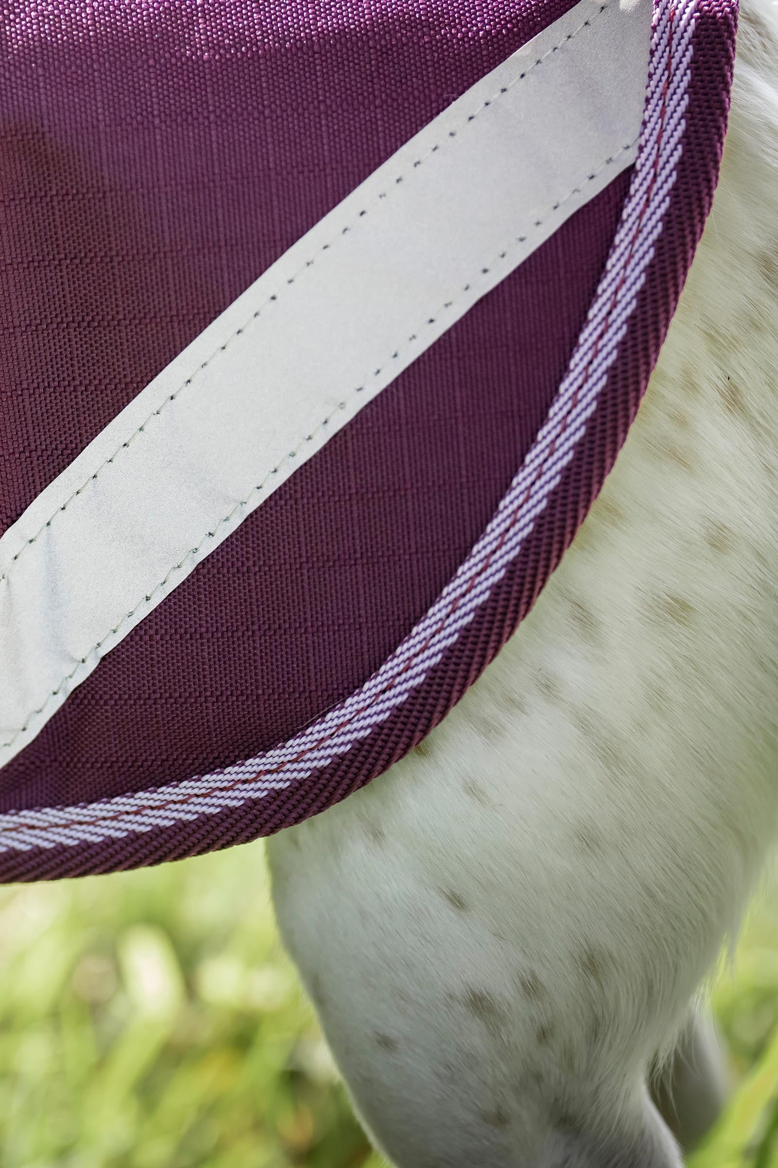 Bucas Freedom Turnout Rug, 150g Horse Rugs