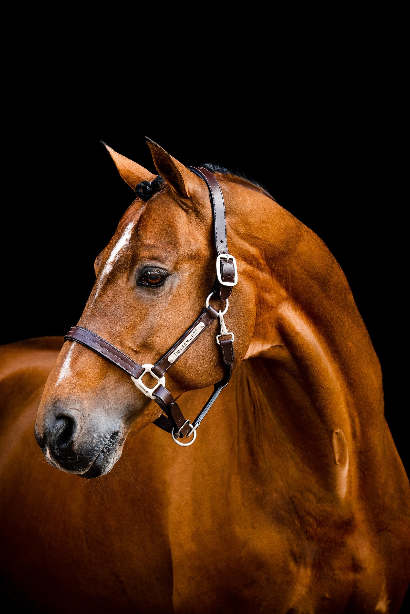 Horseware Signature Lederhalfter Halfter & Stricke