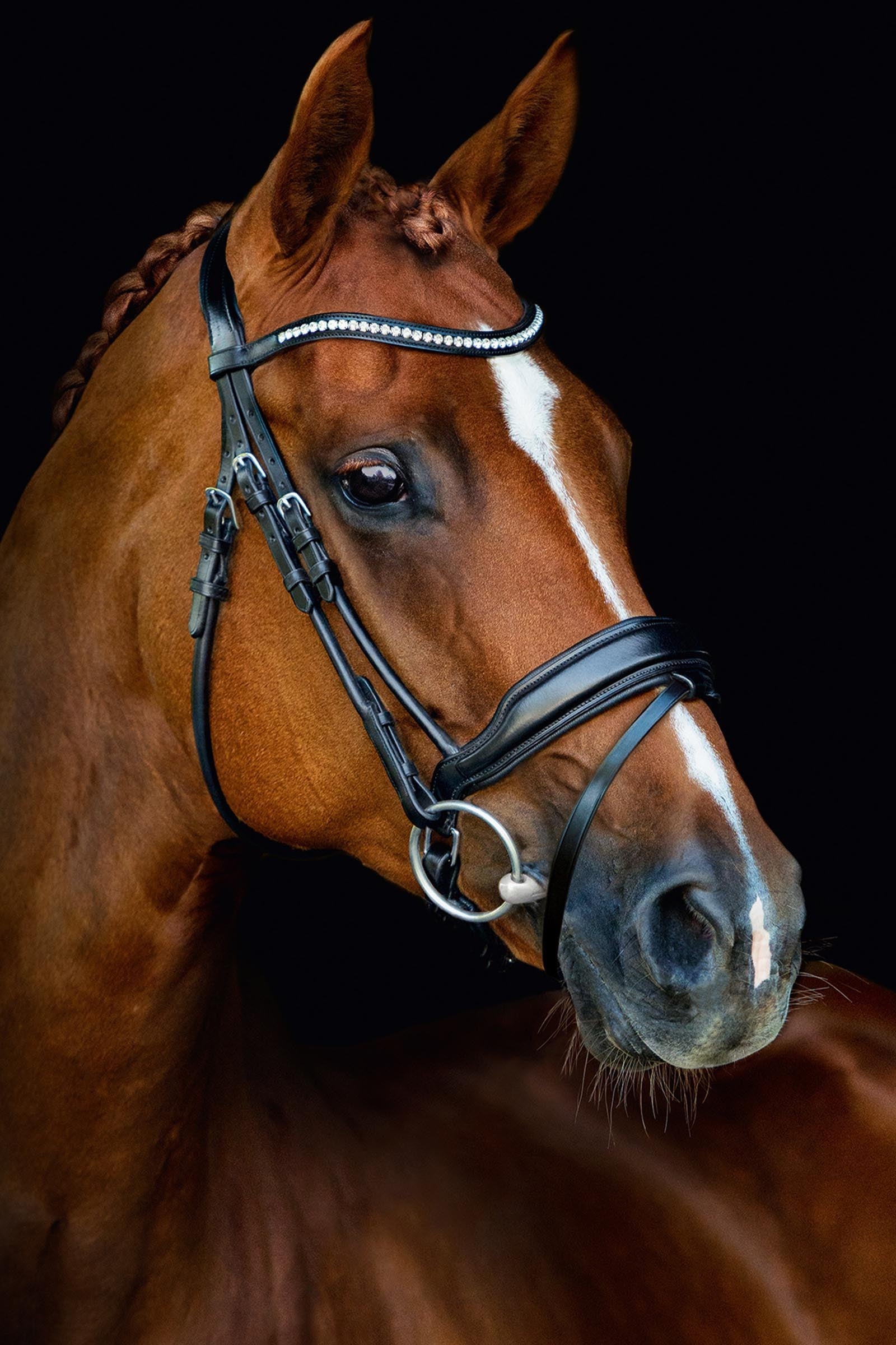 Schockemöhle Sports Malibu Anatomical Dressage Bridle Bridles & Reins