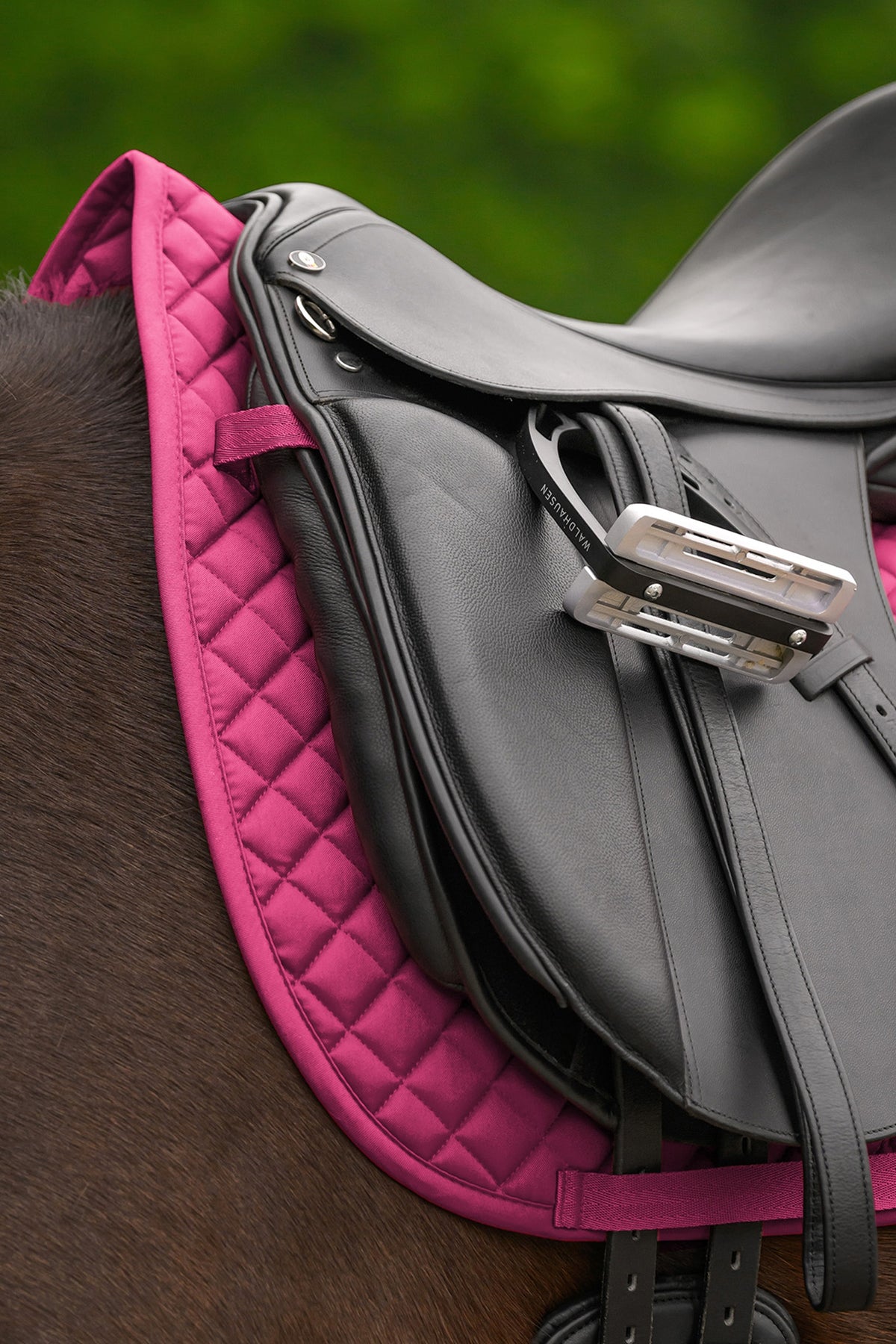 Waldhausen Felix Universal Dressage Saddle Pad Saddle Pads