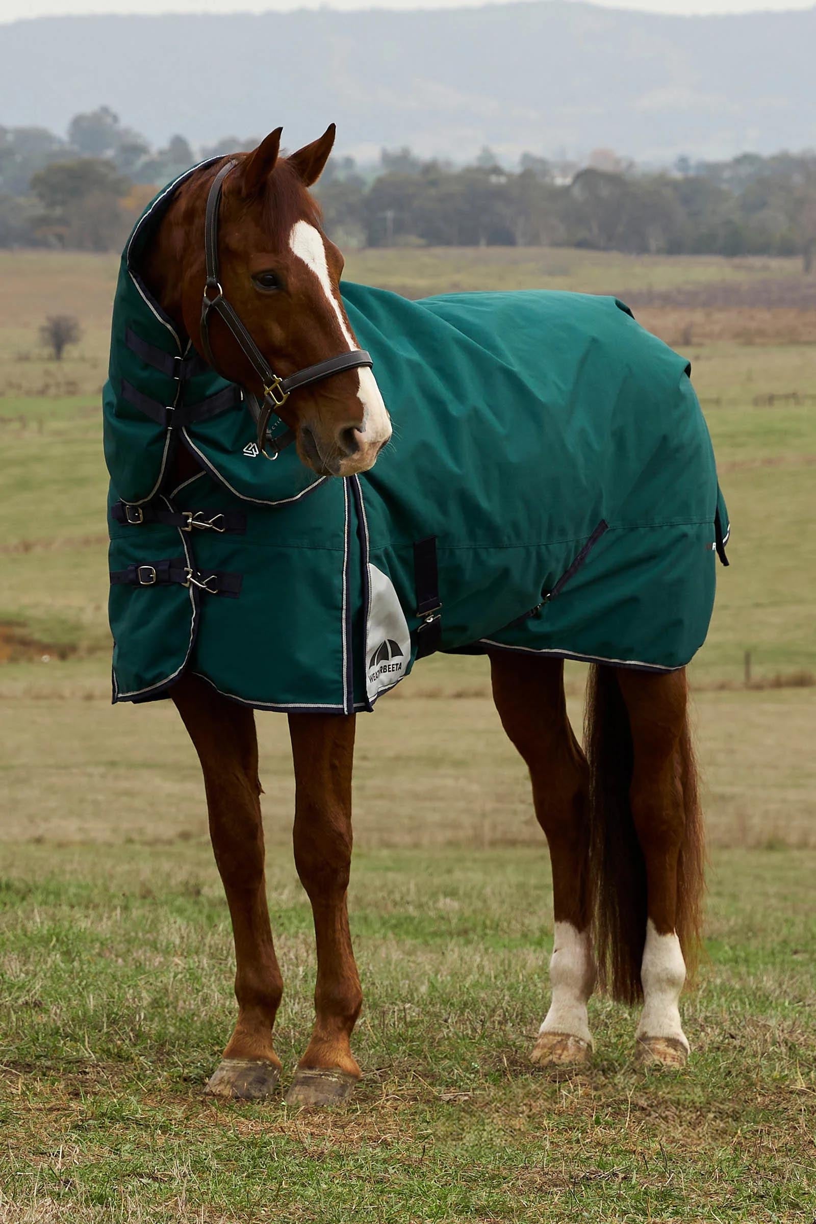 Weatherbeeta ComFiTecPlus Dynamic Turnout Detach-A-Neck 220G Horse Rugs