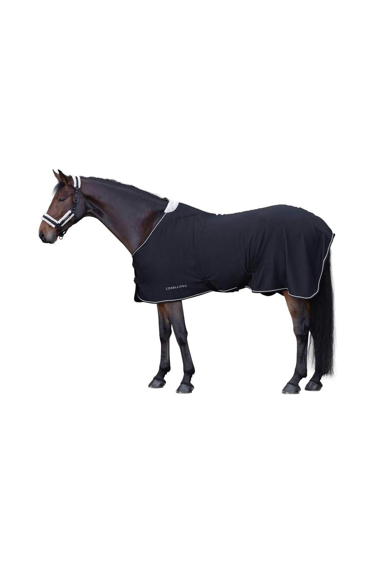 Covalliero FW26 Premium Cooler Rug Horse Rugs