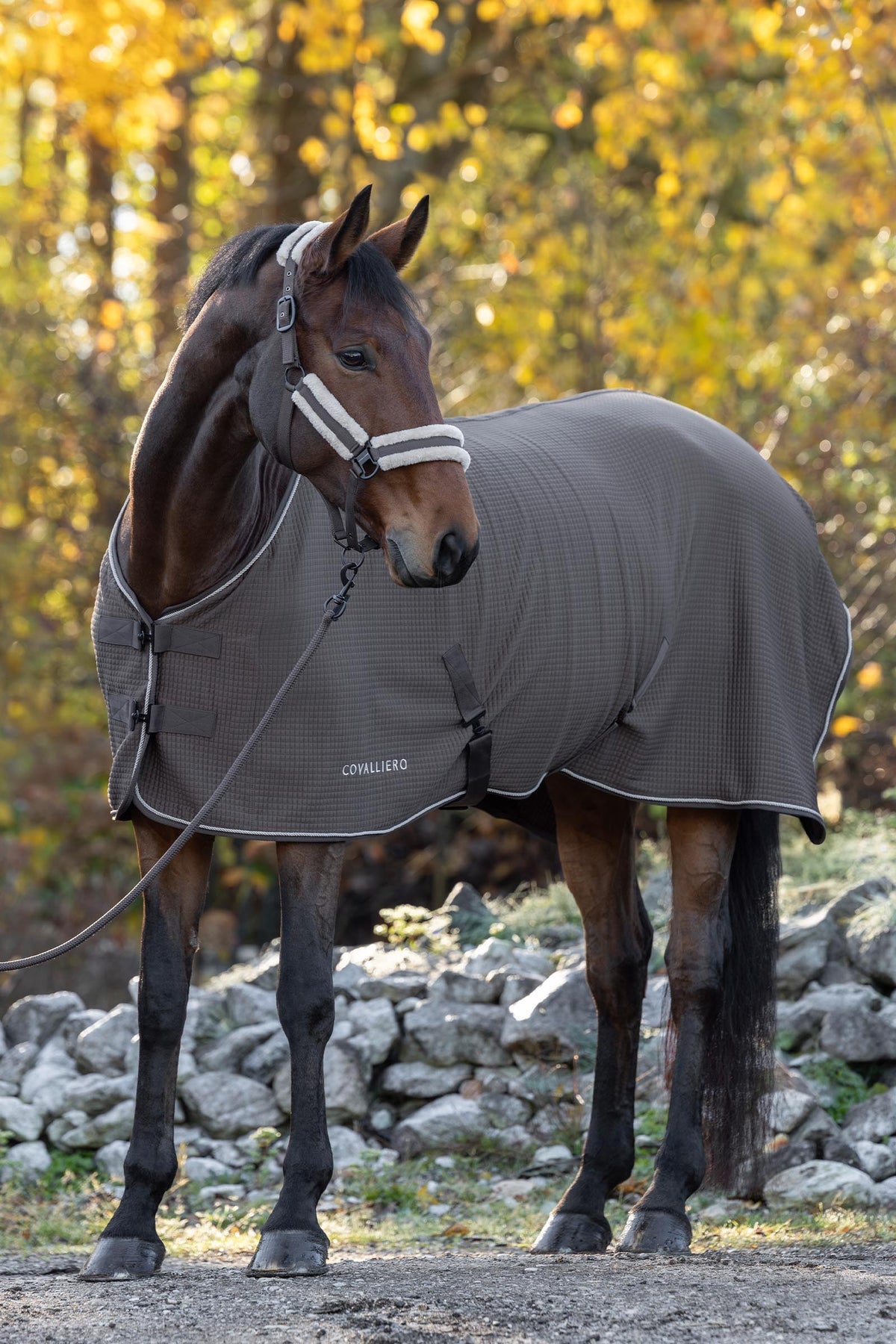 Covalliero FW26 Premium Cooler Rug Horse Rugs