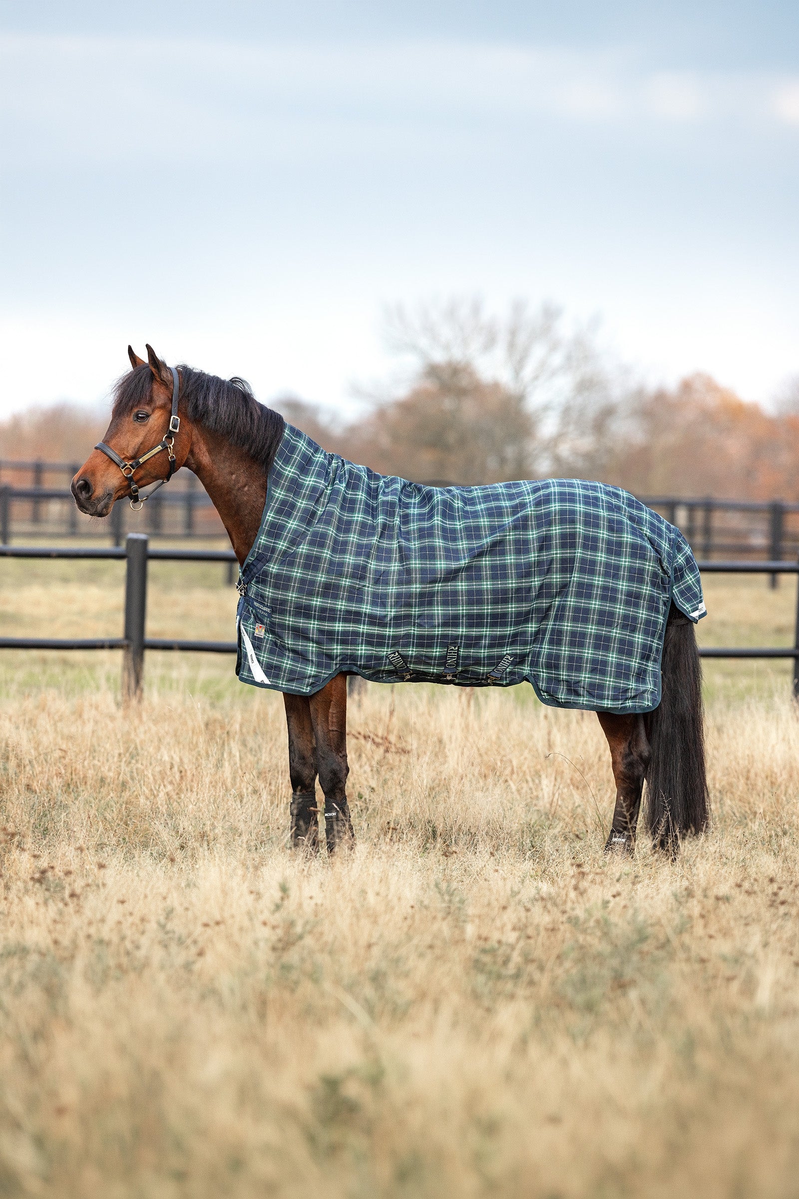 Horseware Rhino Wug Vari-Layer Turnout Rug with High Neck, 250g Horse Rugs
