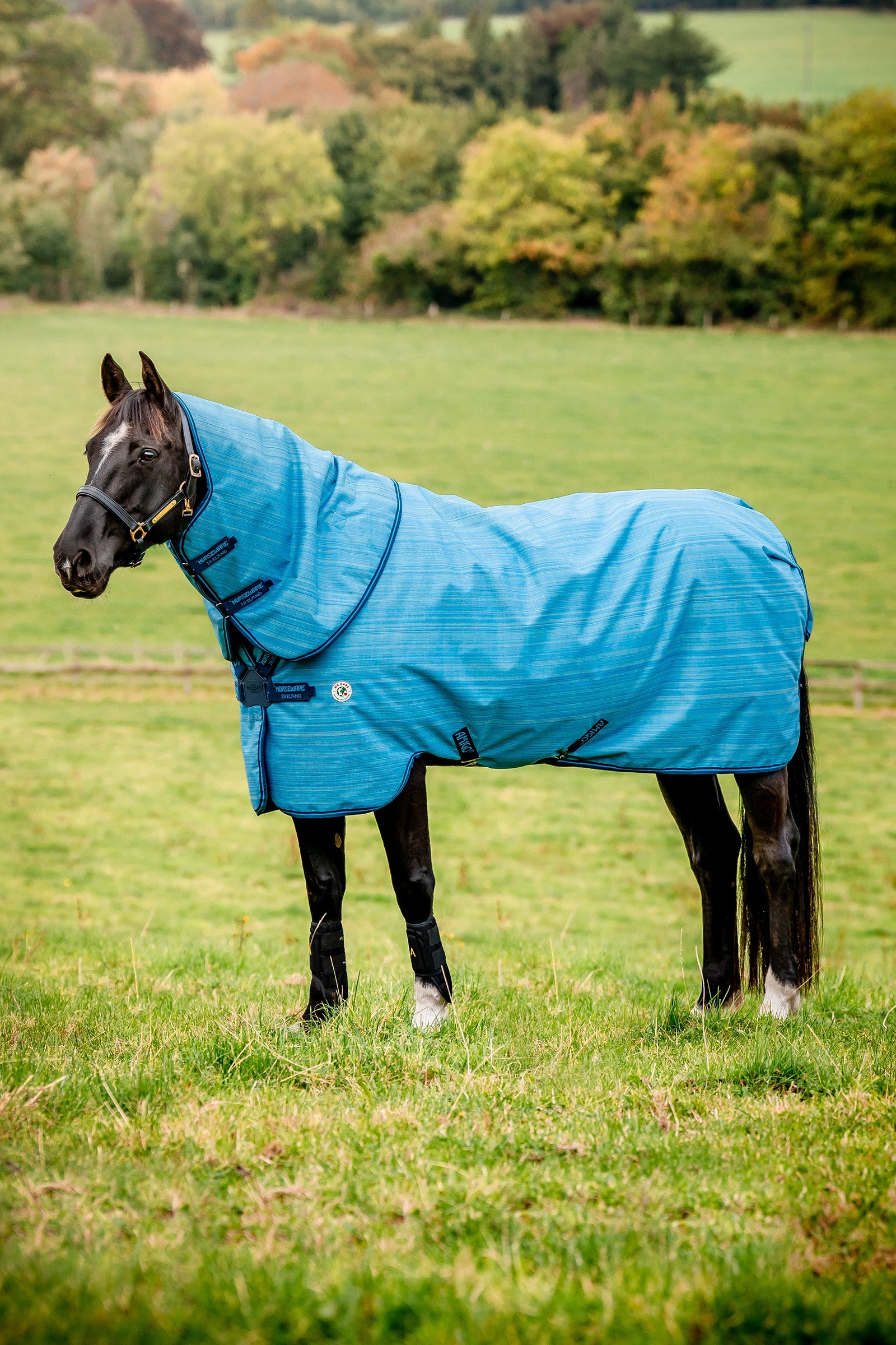 Horseware Amigo Hero 900 Revive Plus Turnout Rug With Detachable Neck, 200 g Horse Rugs