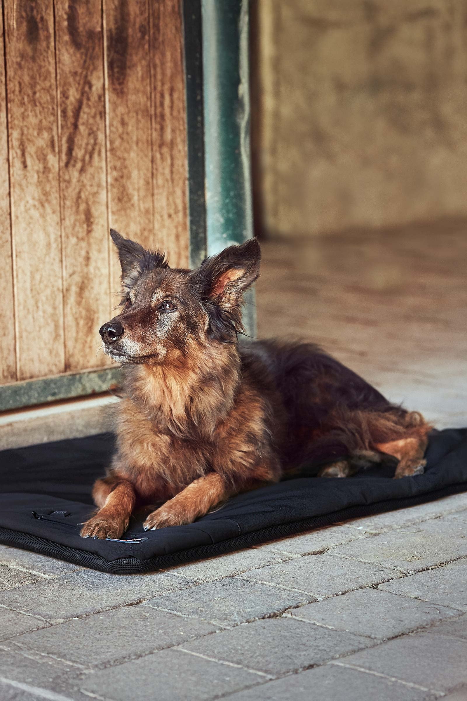 Catago CATAGO FIR-Tech Pro Hundematte Hund