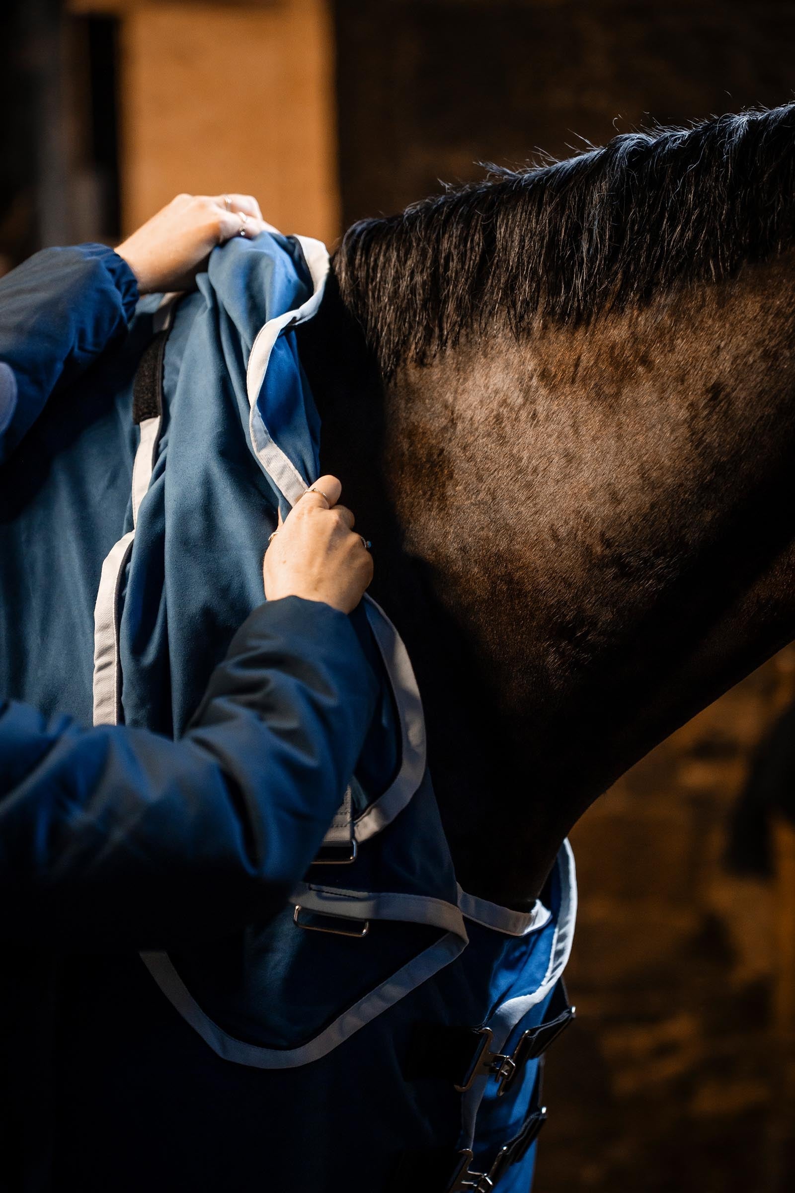 Horseware Rambo Dry Rug Supreme Horse Rugs