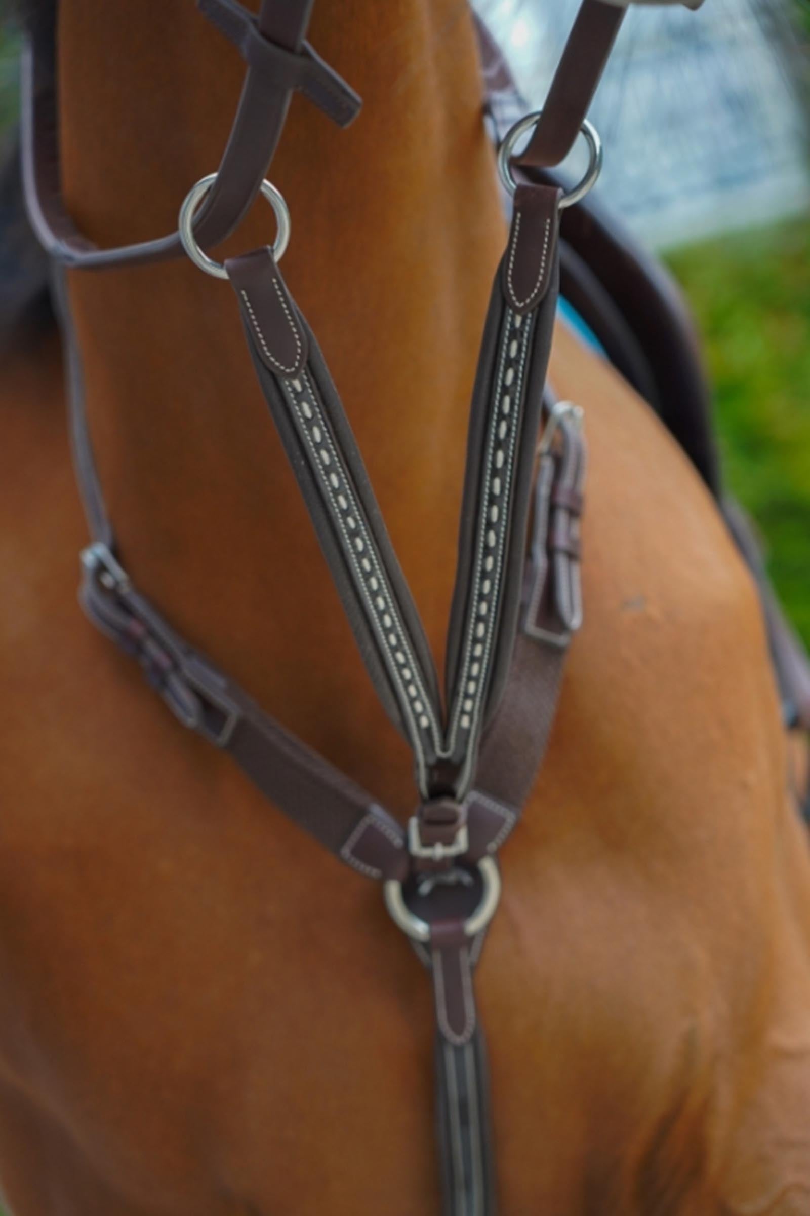 PENELOPE Point Sellier Martingale Fork Bridles & Reins