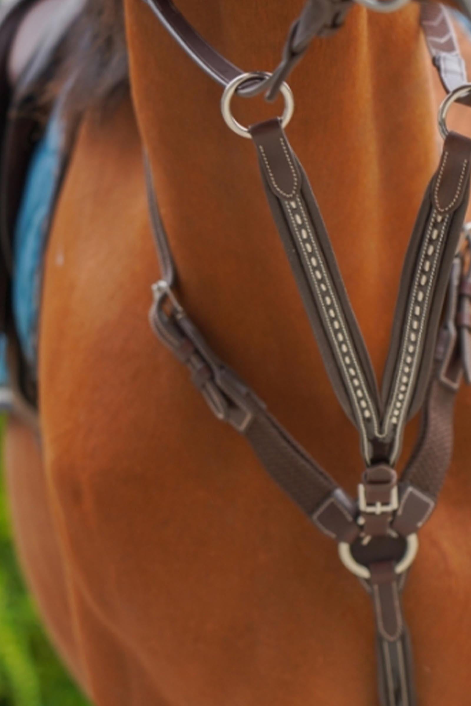 PENELOPE Point Sellier Martingale Fork Bridles & Reins