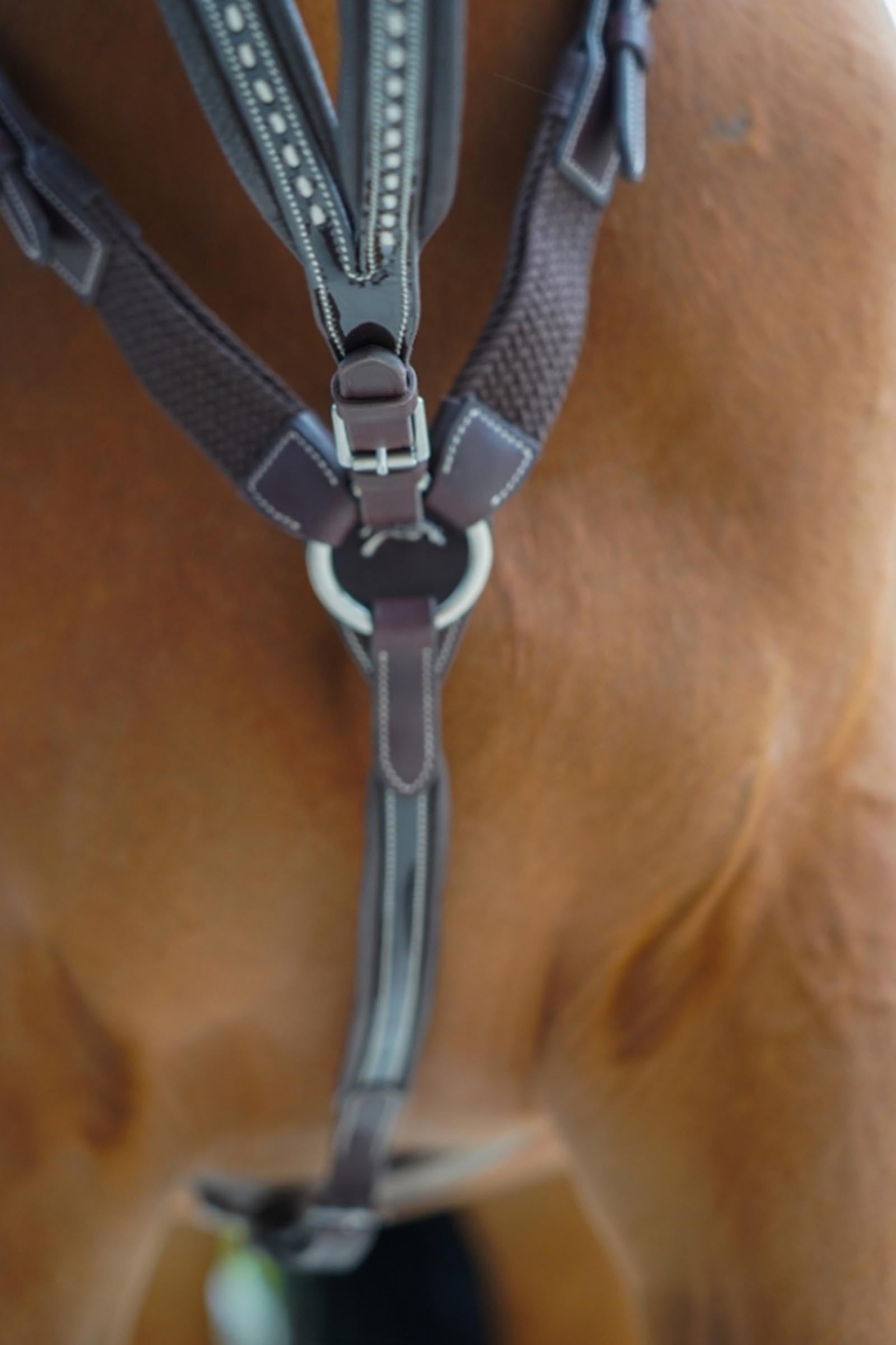 PENELOPE Point Sellier Martingale Fork Bridles & Reins