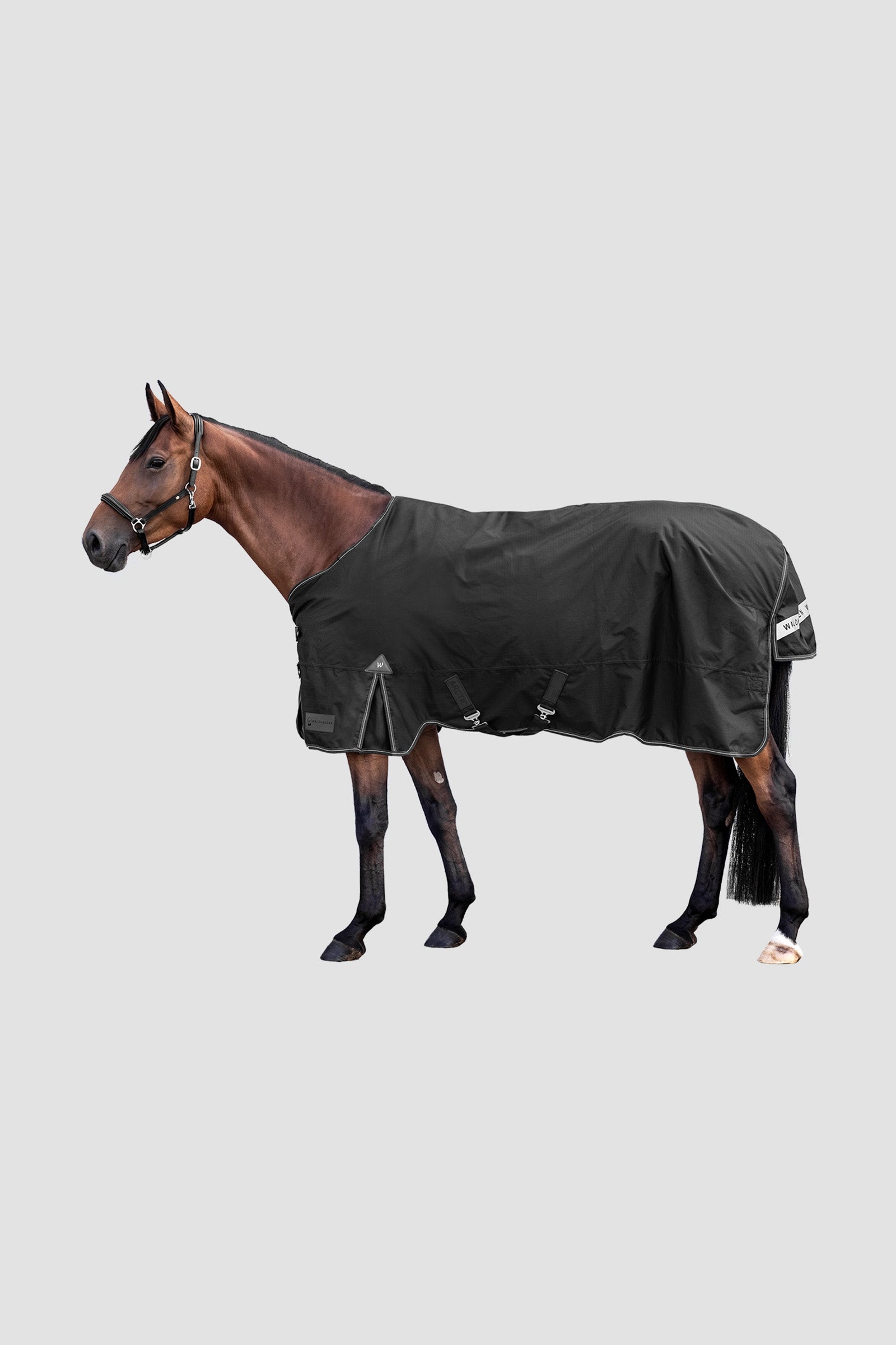 Waldhausen Outdoor Rug Arctic 300 g Pferdedecken