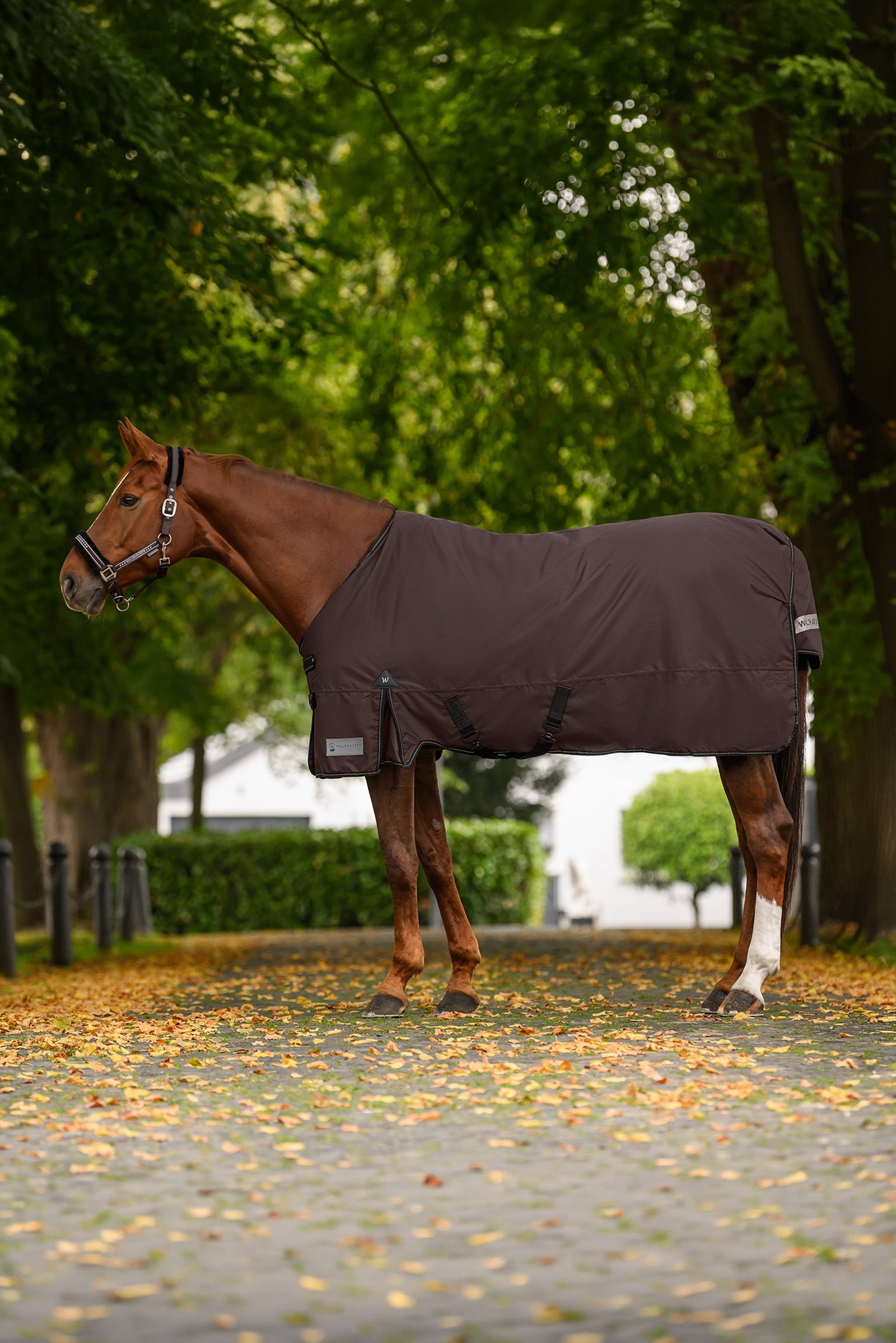 Waldhausen ARCTIC Outdoor Rug, 300 g Horse Rugs