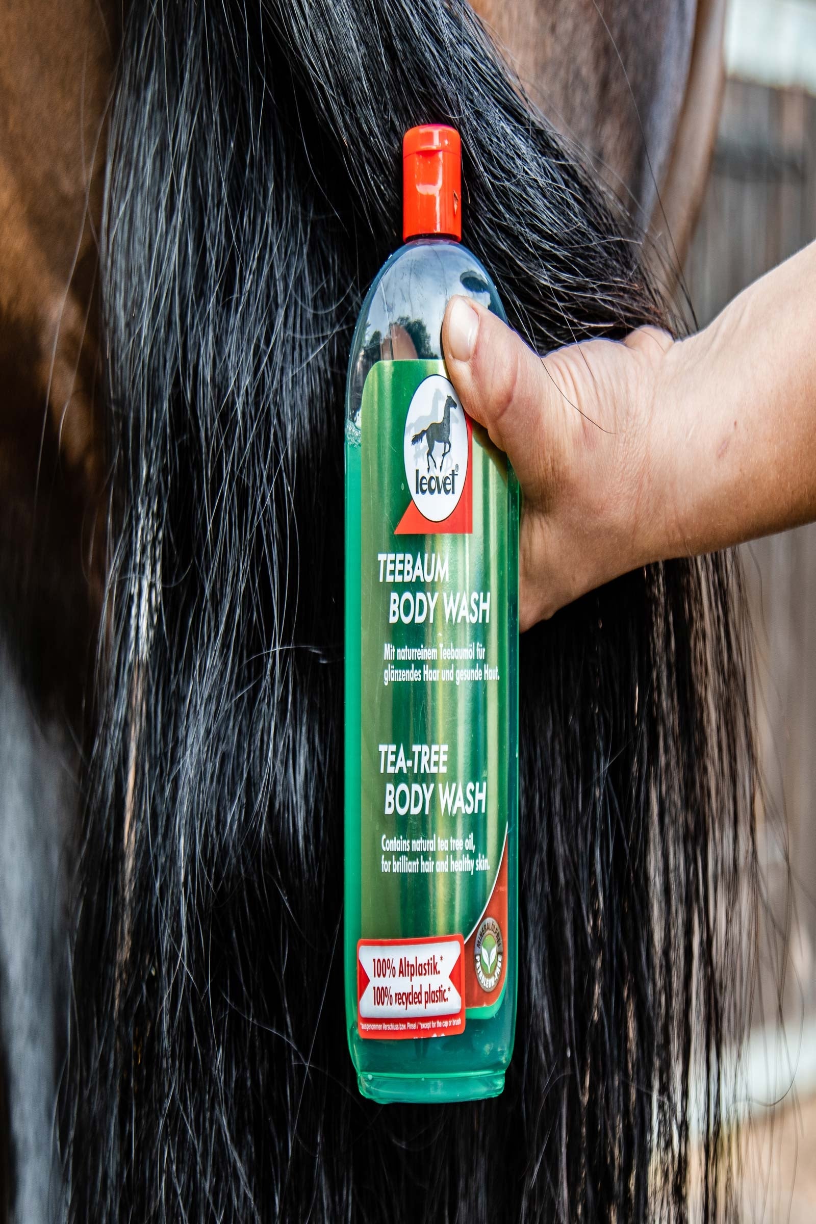 Leovet Tea-Tree Body Wash Horse Health Care