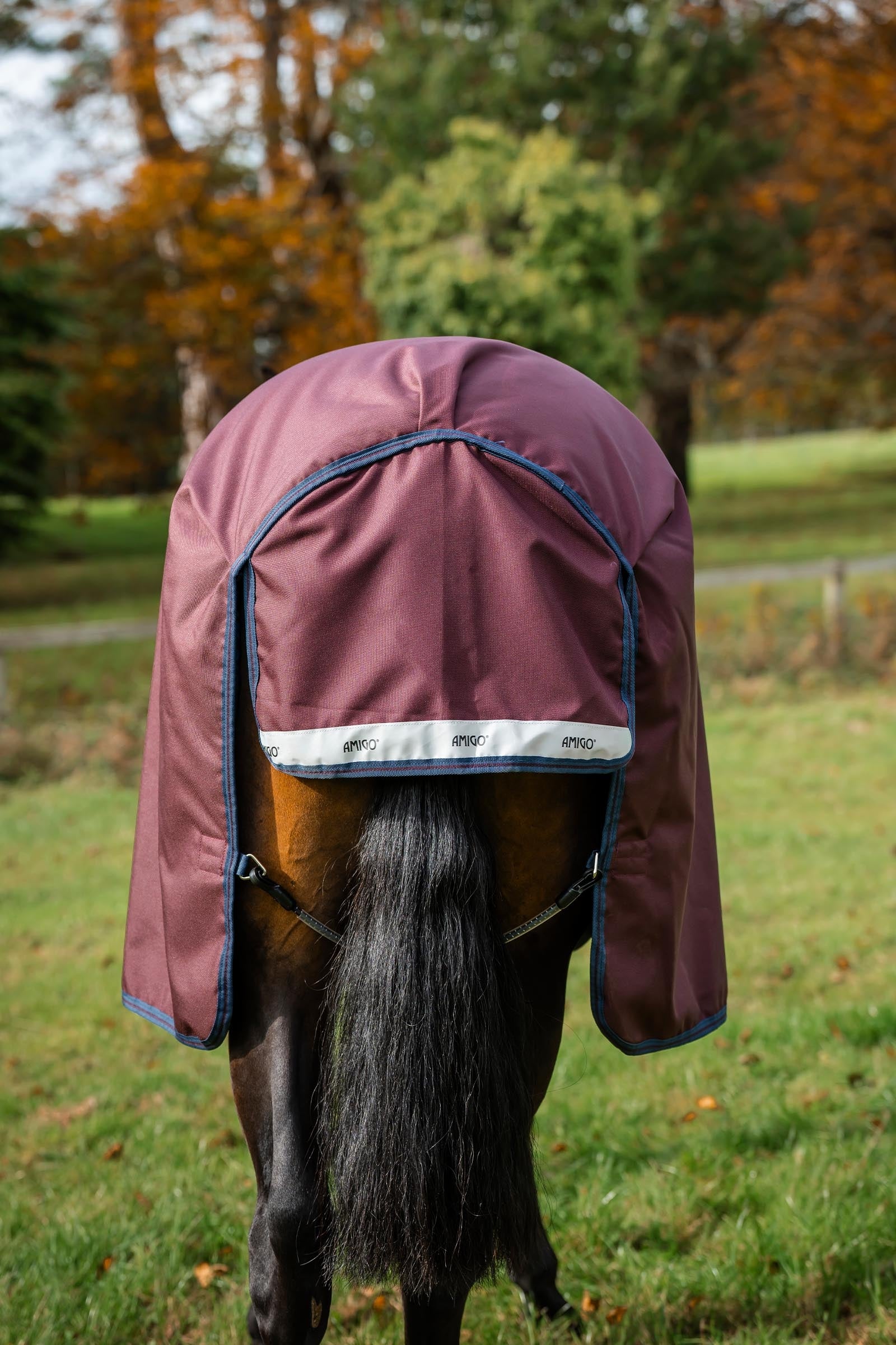 Horseware Amigo Bravo 12 Plus 100g Horse Rugs