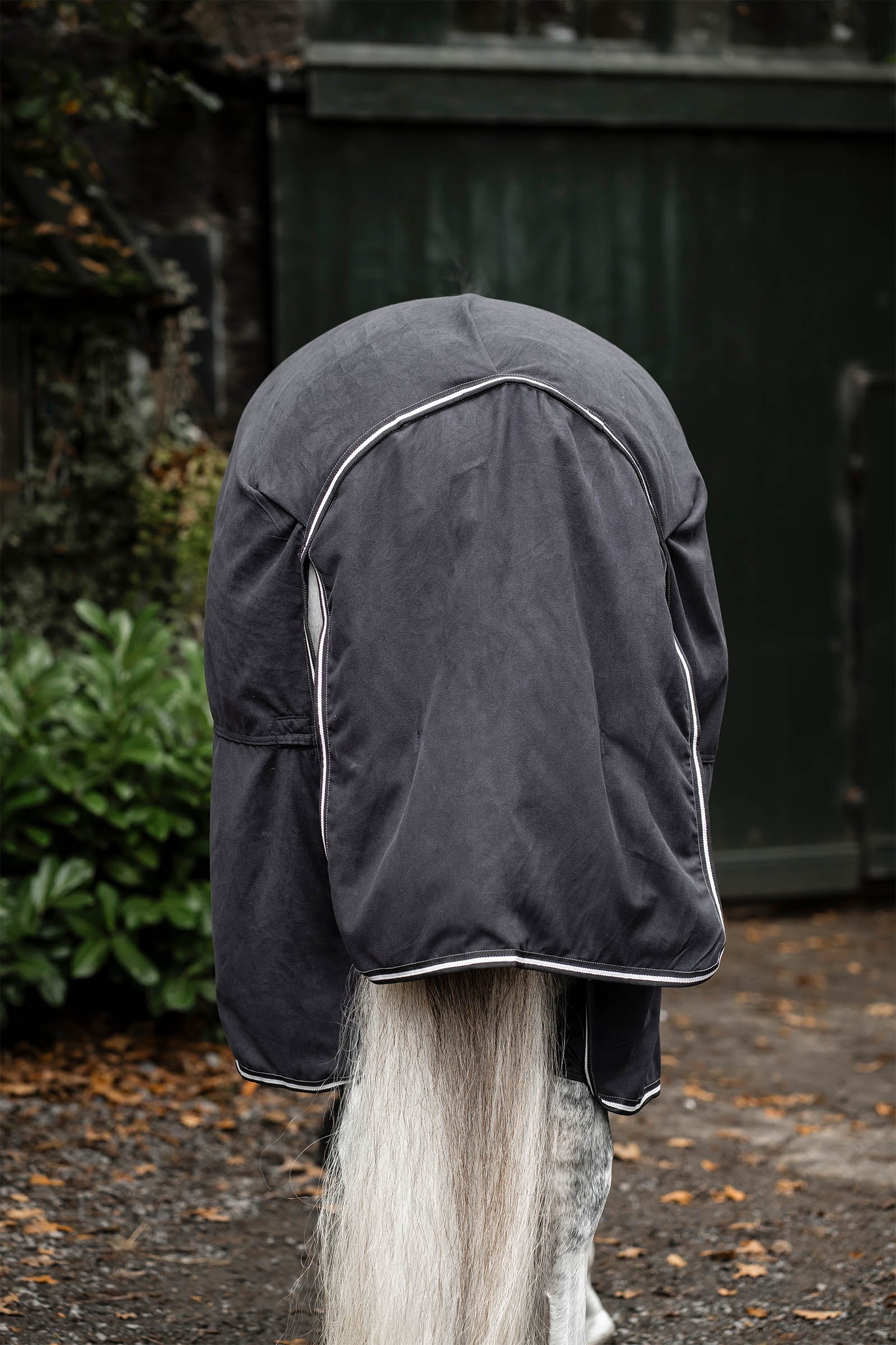 Horseware Show Ready Rug Horse Rugs