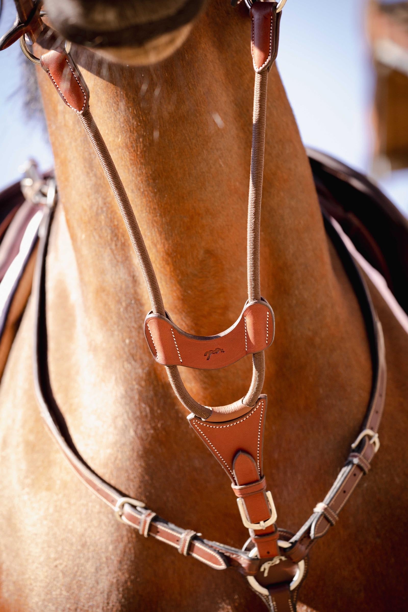 PENELOPE Bip Light US Martingale Fork, Elastic Bridles & Reins