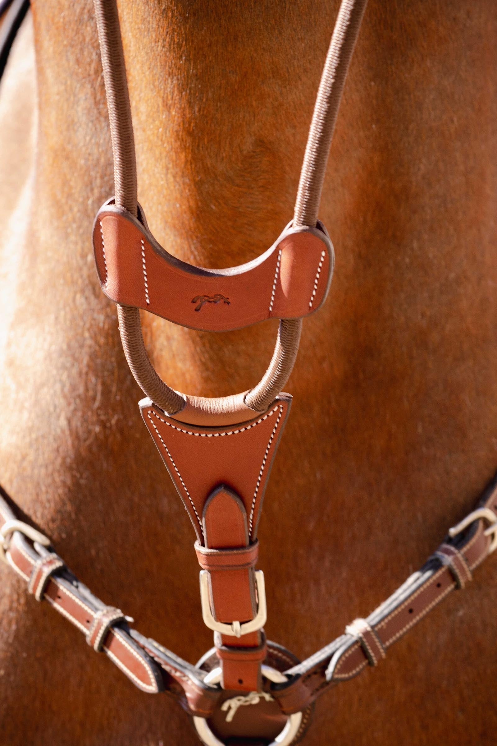 PENELOPE Bip Light US Martingale Fork, Elastic Bridles & Reins