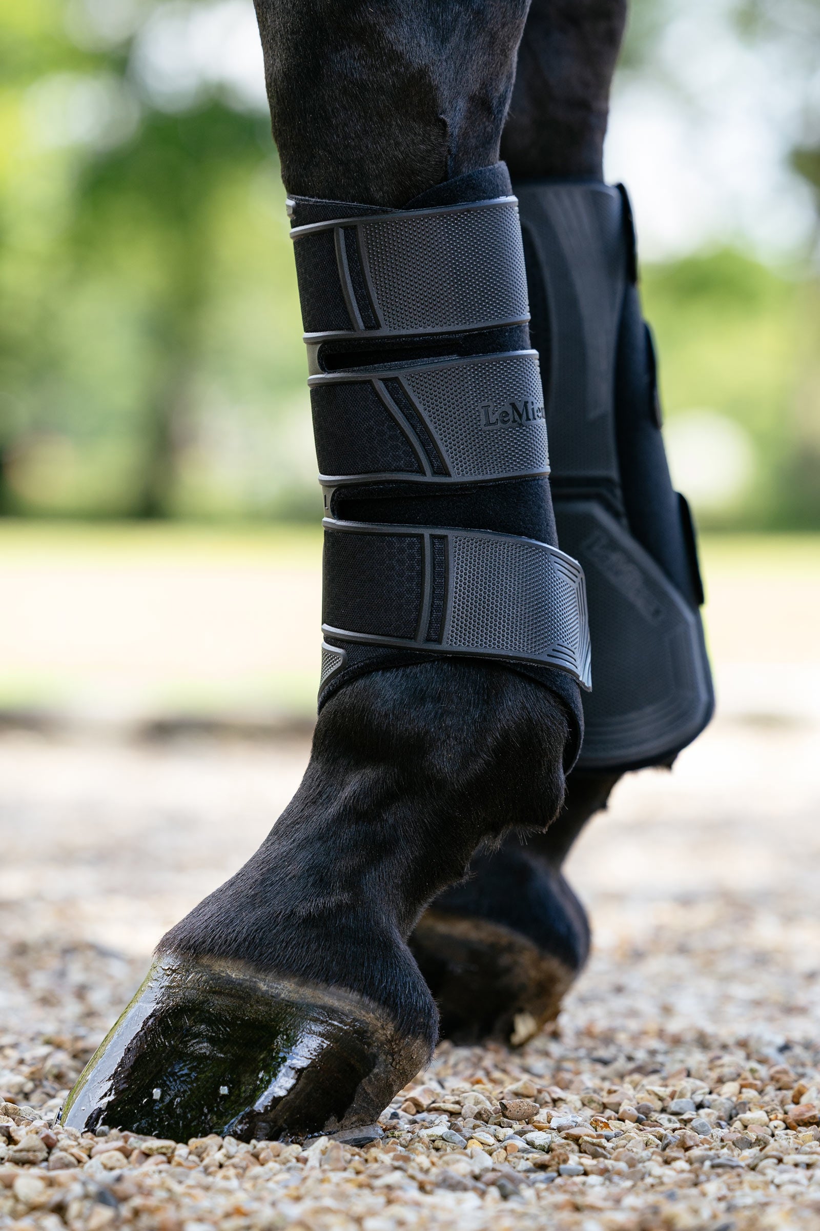 LeMieux Technical Dressurgamaschen Leg Protection & Hoof Protection for Horses