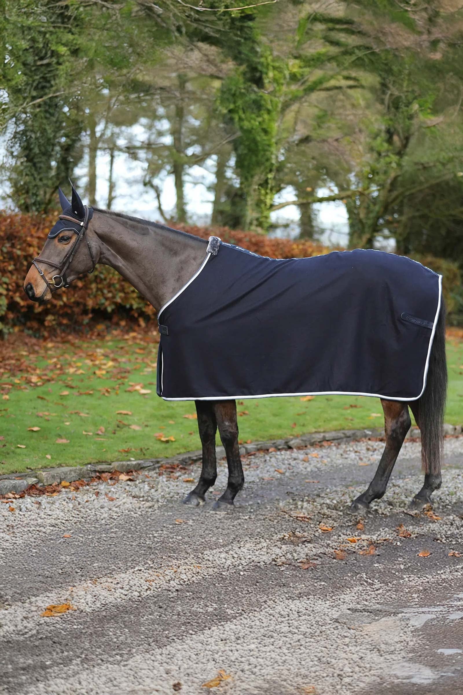 Bucas Emerald Wool Rug Horse Rugs