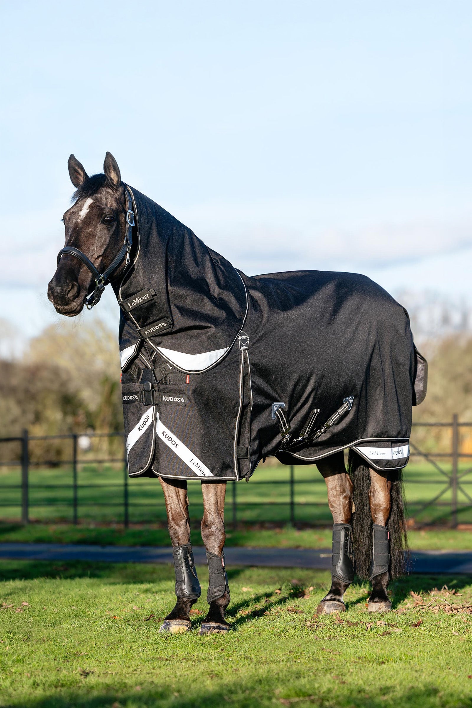 LeMieux Kudos Neo-Turnout Rug W. Detachable Neck, 100 g Horse Rugs