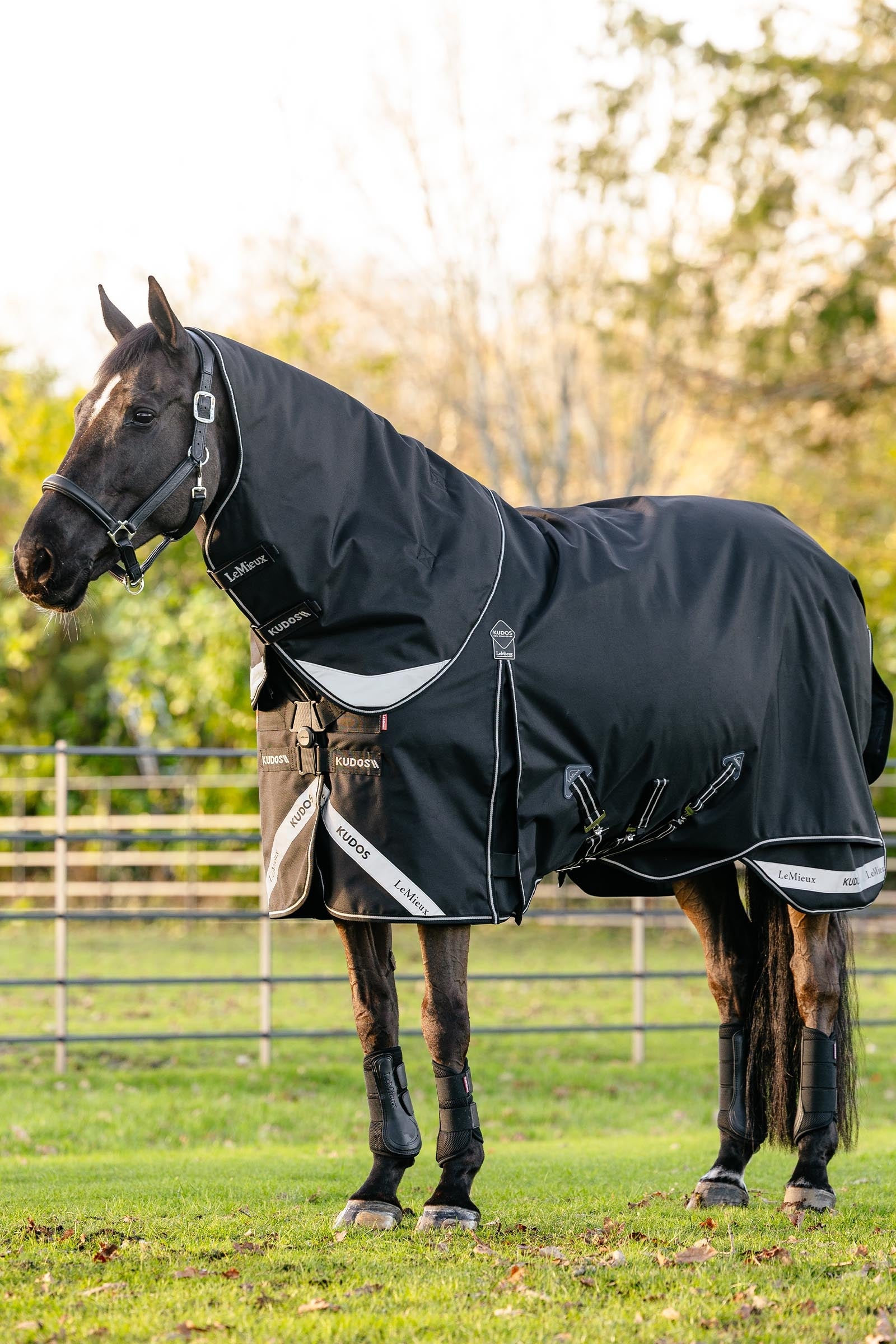LeMieux Kudos Neo-Turnout Rug W. Detachable Neck, 100 g Horse Rugs