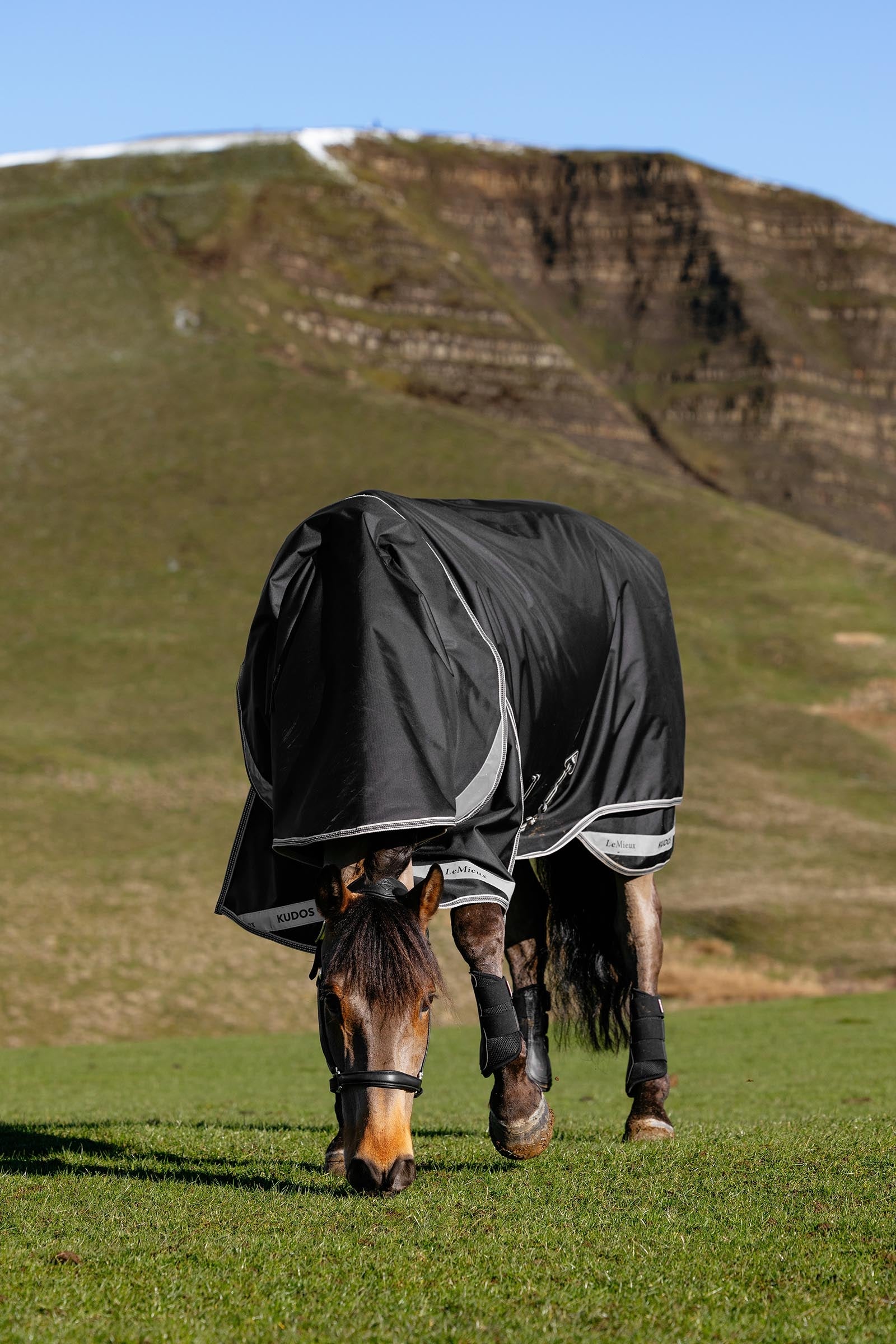 LeMieux Kudos Neo-Turnout Rug W. Detachable Neck, 100 g Horse Rugs