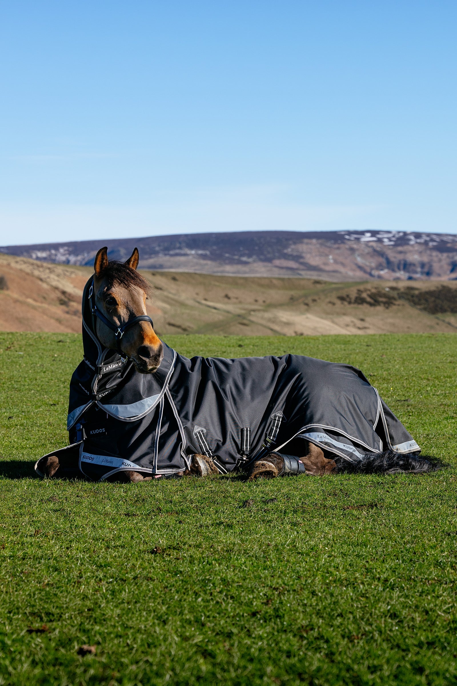 LeMieux Kudos Neo-Turnout Rug W. Detachable Neck, 100 g Horse Rugs