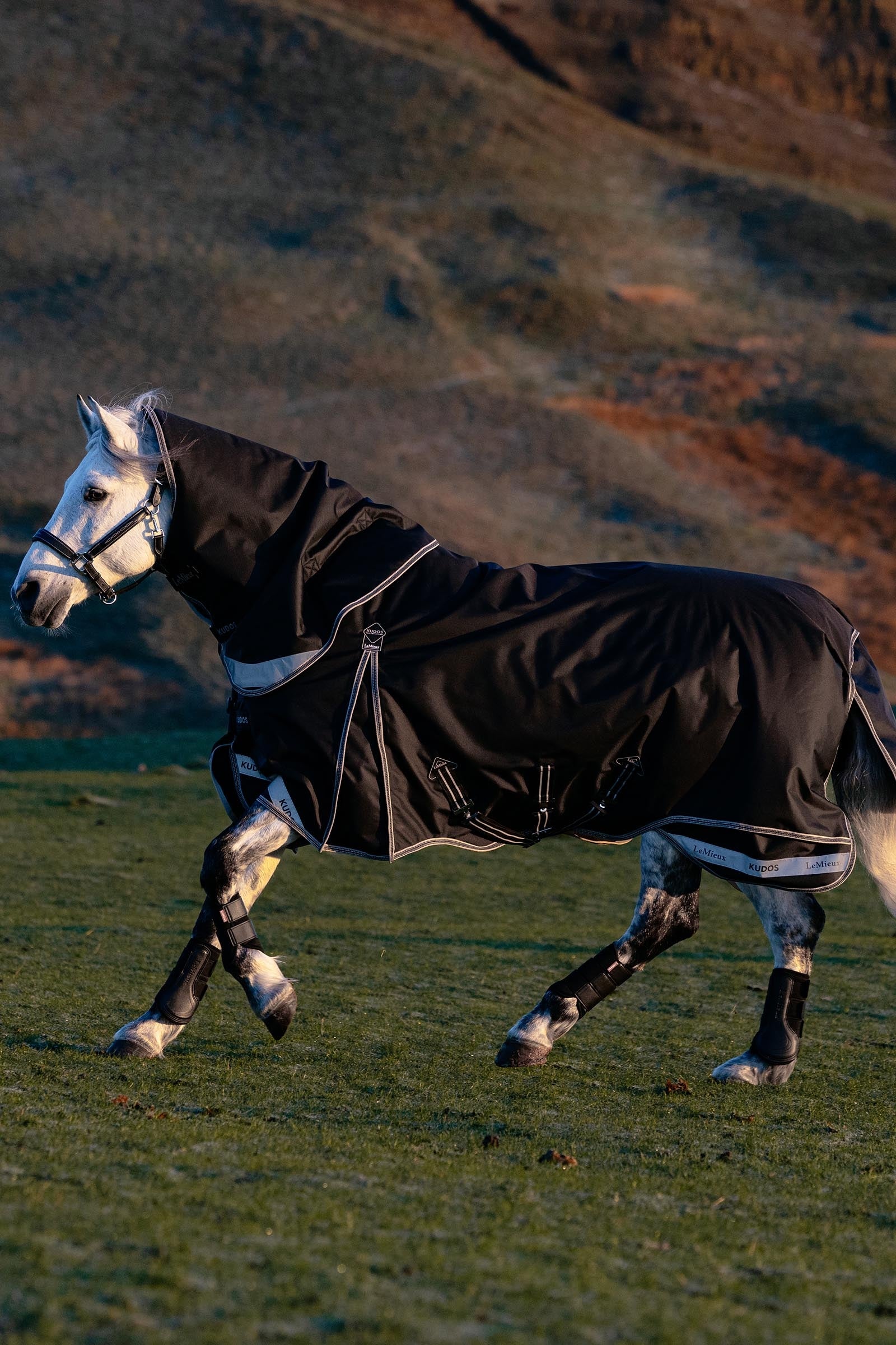 LeMieux Kudos Neo-Turnout Rug W. Detachable Neck, 100 g Horse Rugs