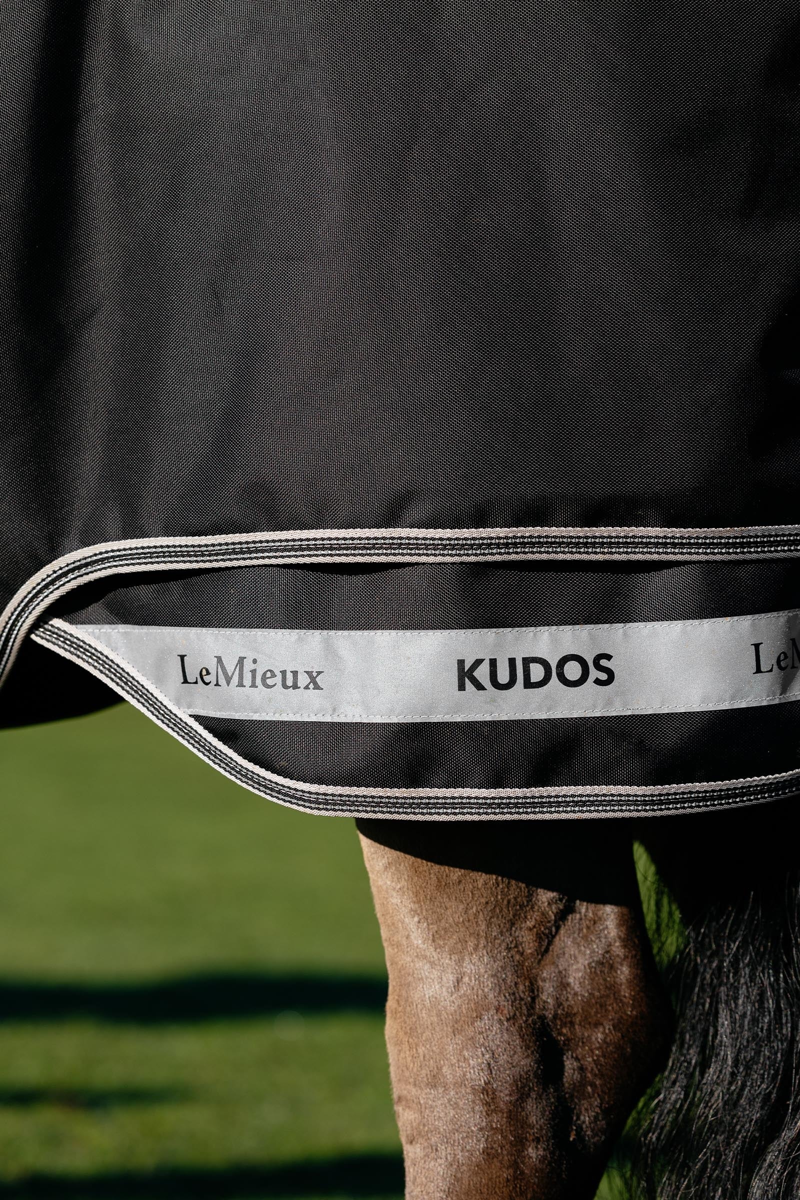 LeMieux Kudos Neo-Turnout Rug W. Detachable Neck, 100 g Horse Rugs
