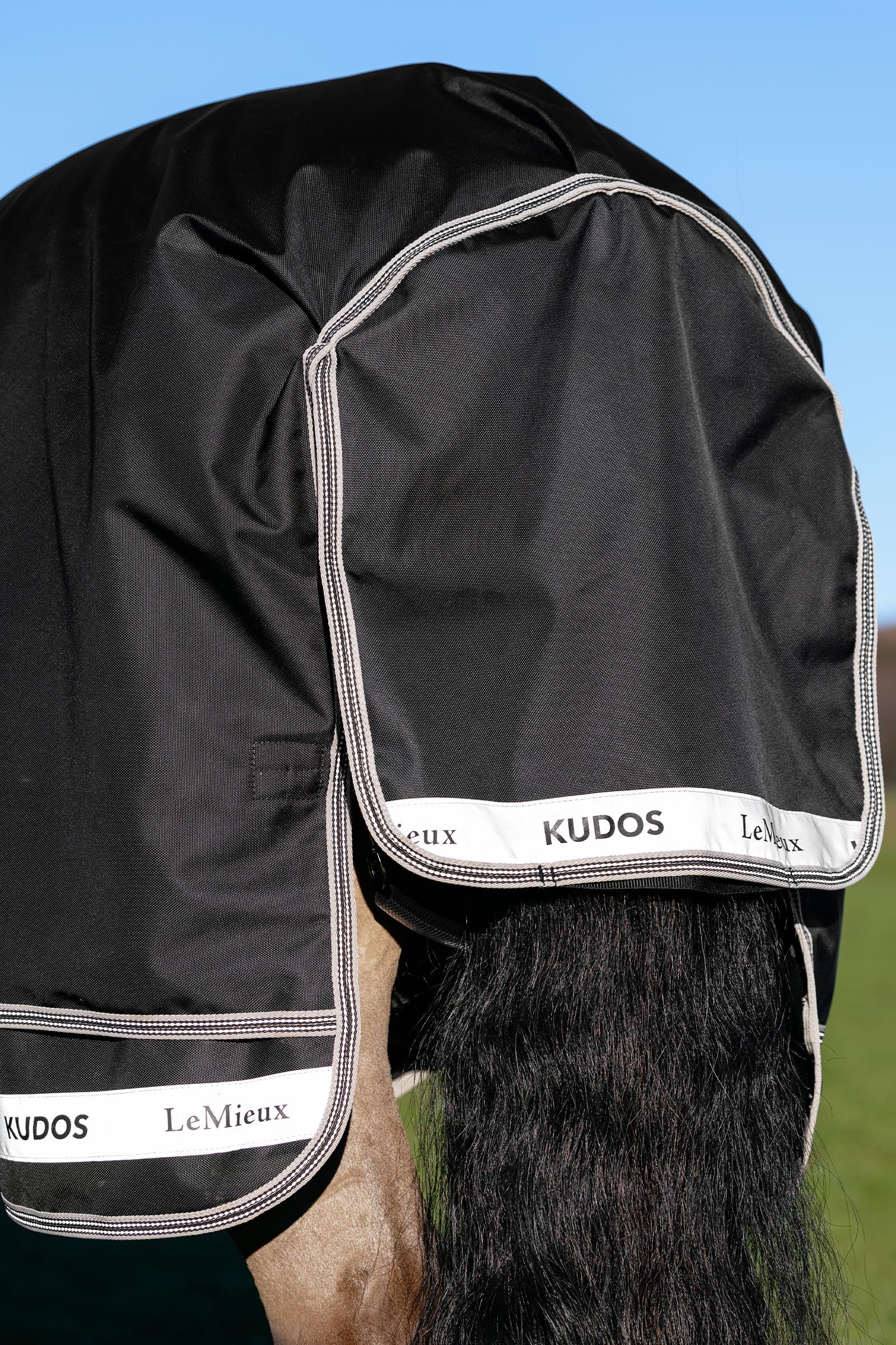 LeMieux Kudos Neo-Turnout Rug W. Detachable Neck, 100 g Horse Rugs