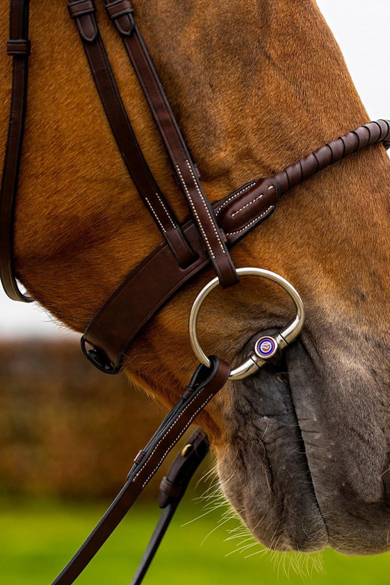 Trust Equestrian Dublin Rope Noseband Bridle Covered Bridles & Reins