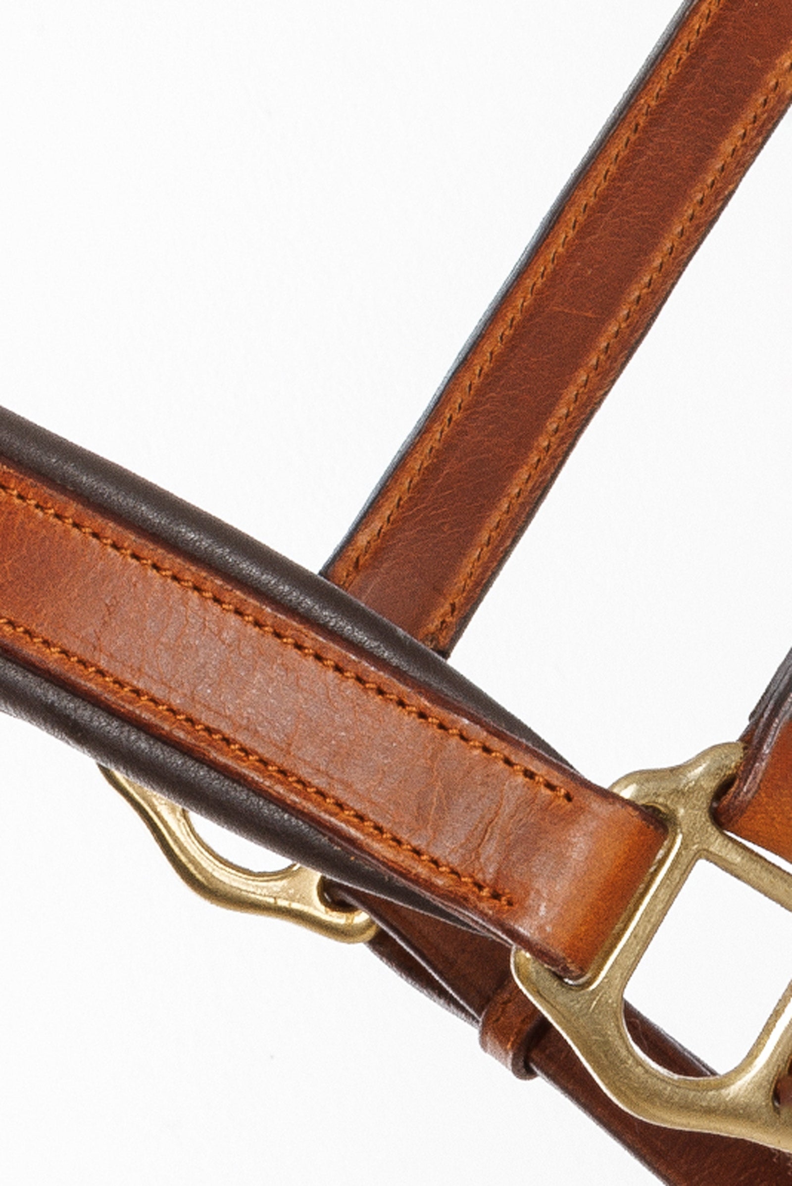 Kavalkade Leather halter Cinta Halters & Leads