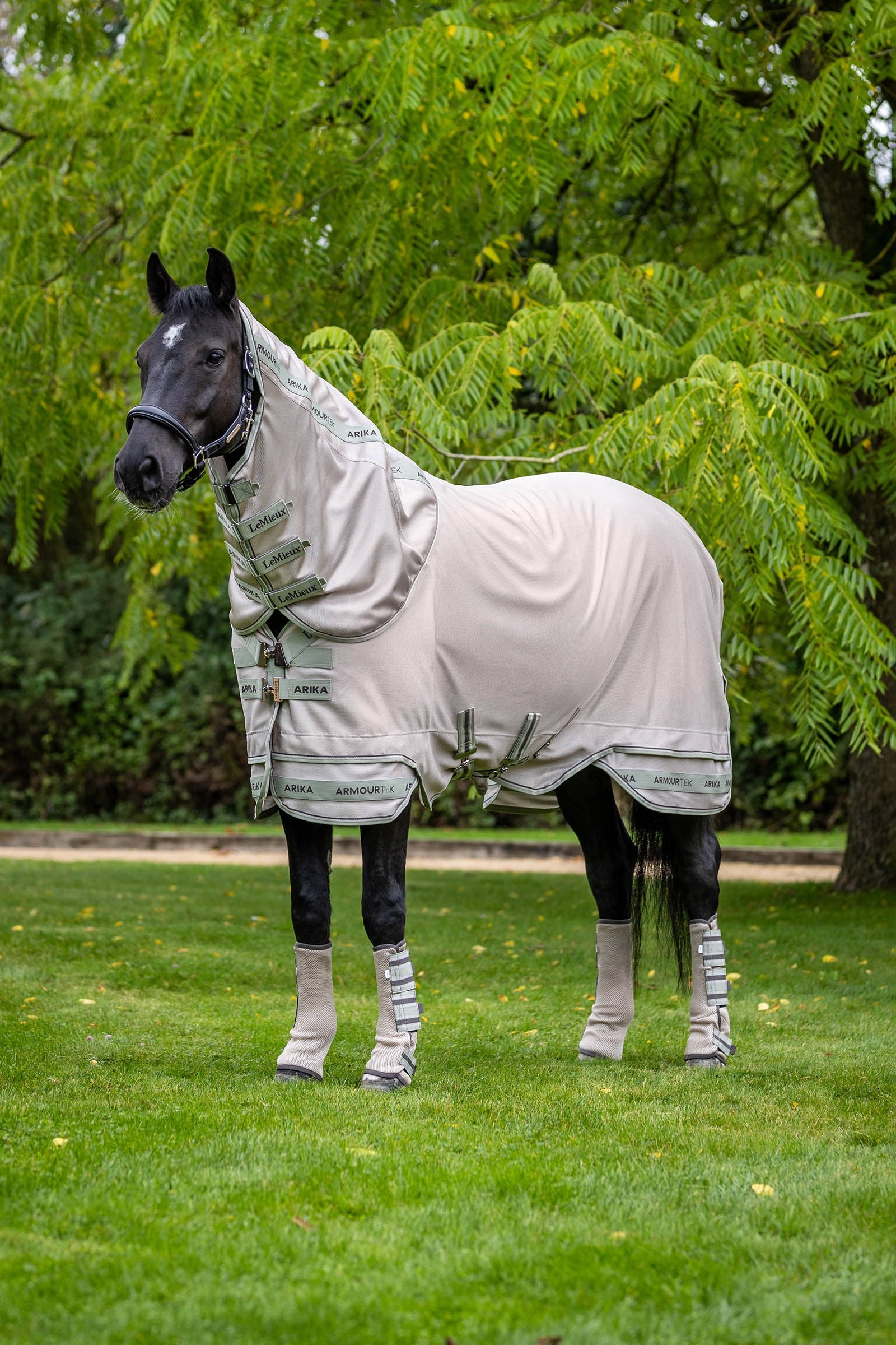 LeMieux Arika Armour-Tek Fliegendecke mit abnehmbarem Halsteil Pferdedecken