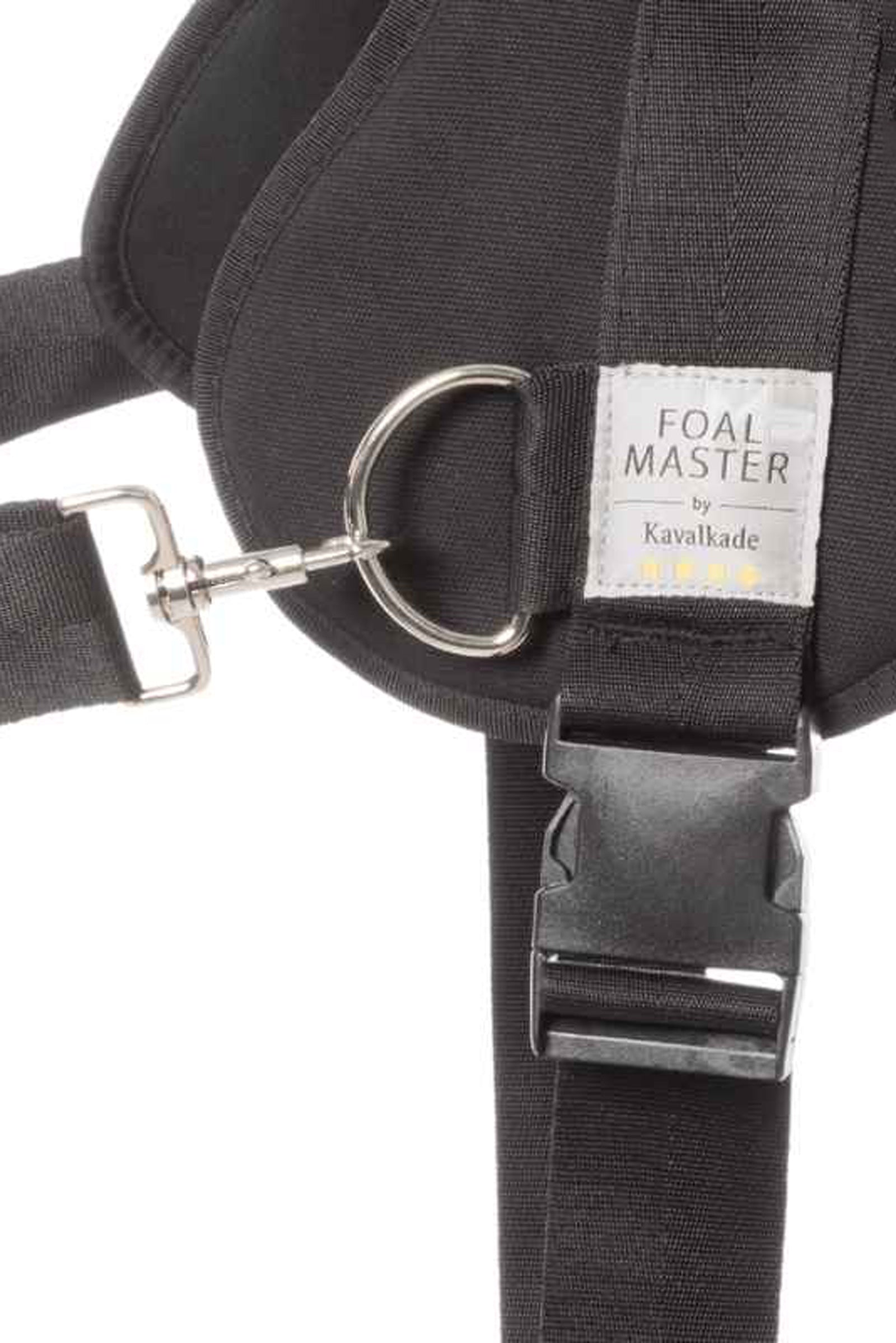 Kavalkade Foalmaster Foal Harness With Handle Halters & Leads
