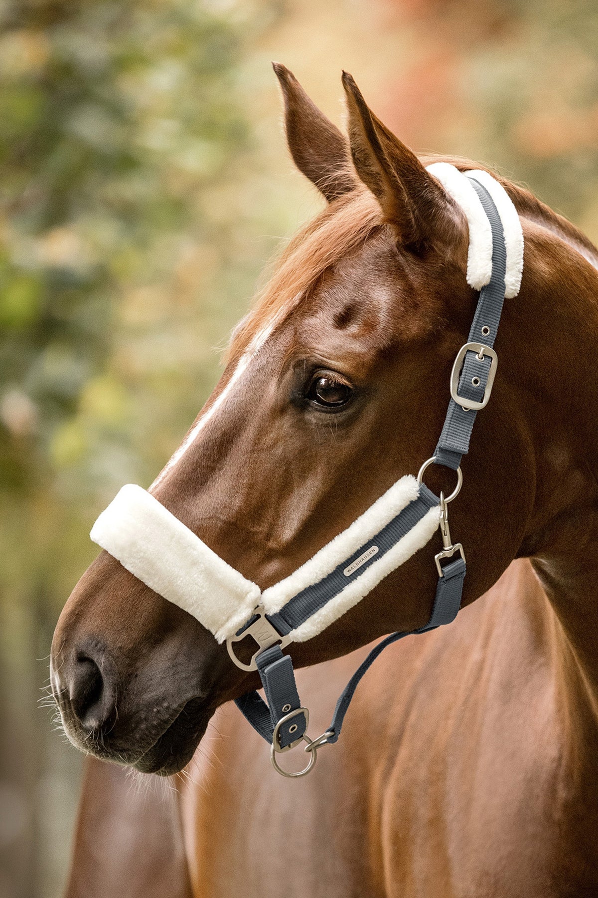 Waldhausen Soft Halter Halters & Leads