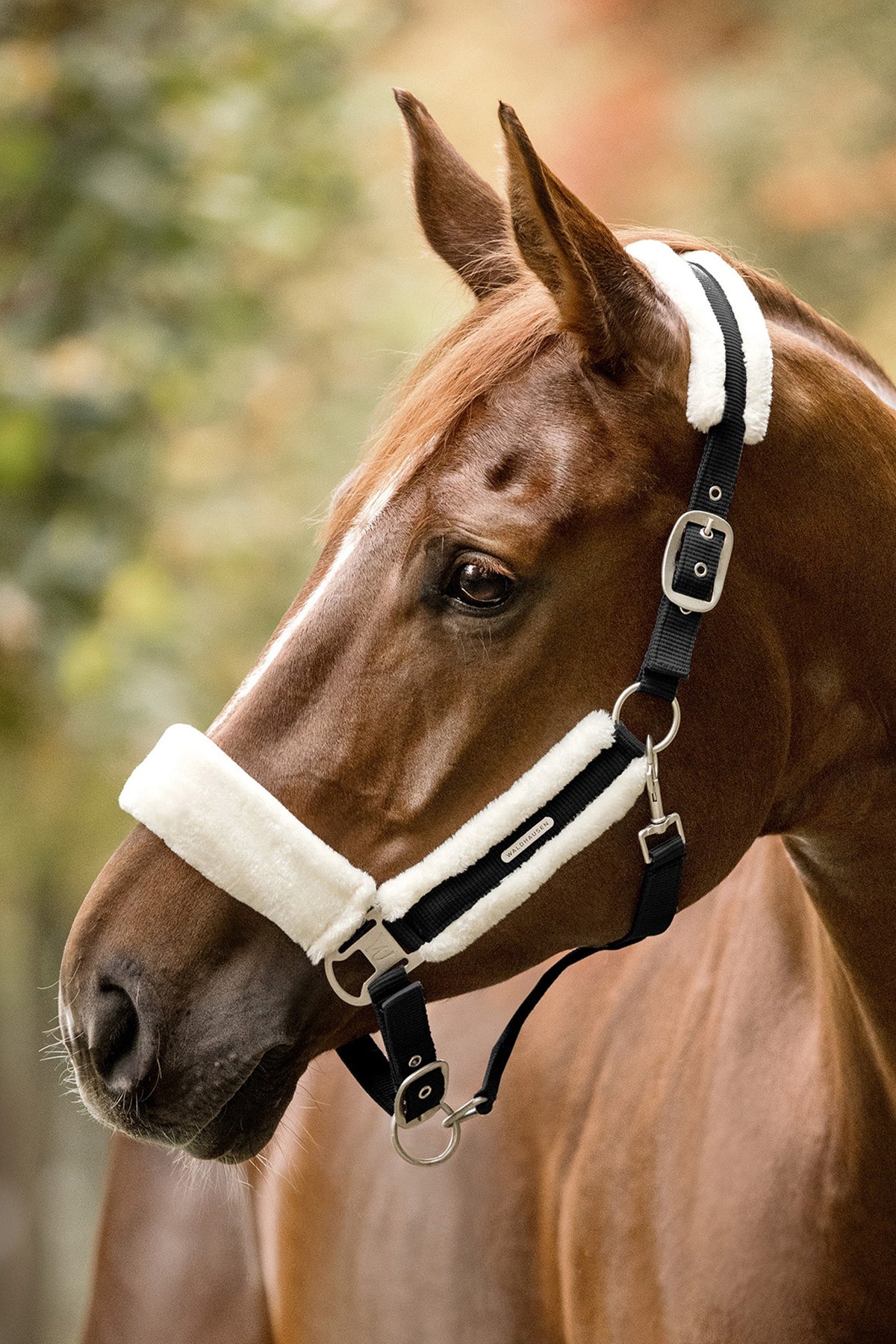 Waldhausen Soft Halter Halters & Leads