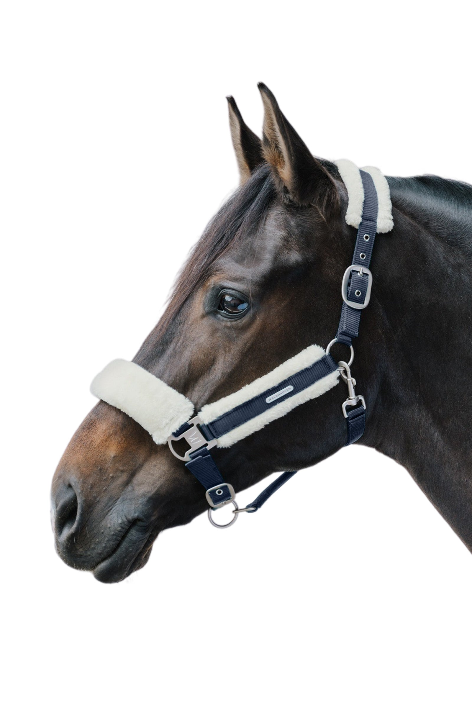 Waldhausen Soft Halter Halters & Leads